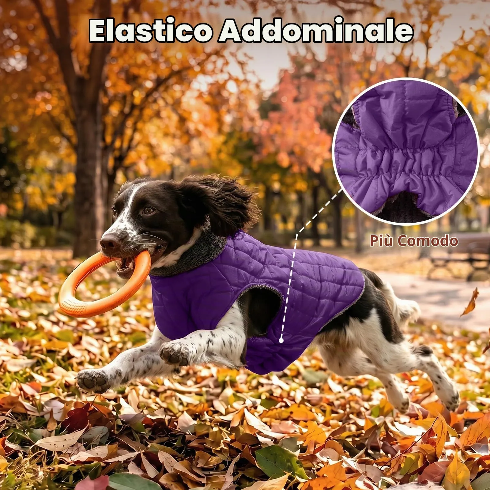 JoyDaog Cappottino in pile impermeabile per cani con imbracatura integrata, Viola, XS - immagine 7