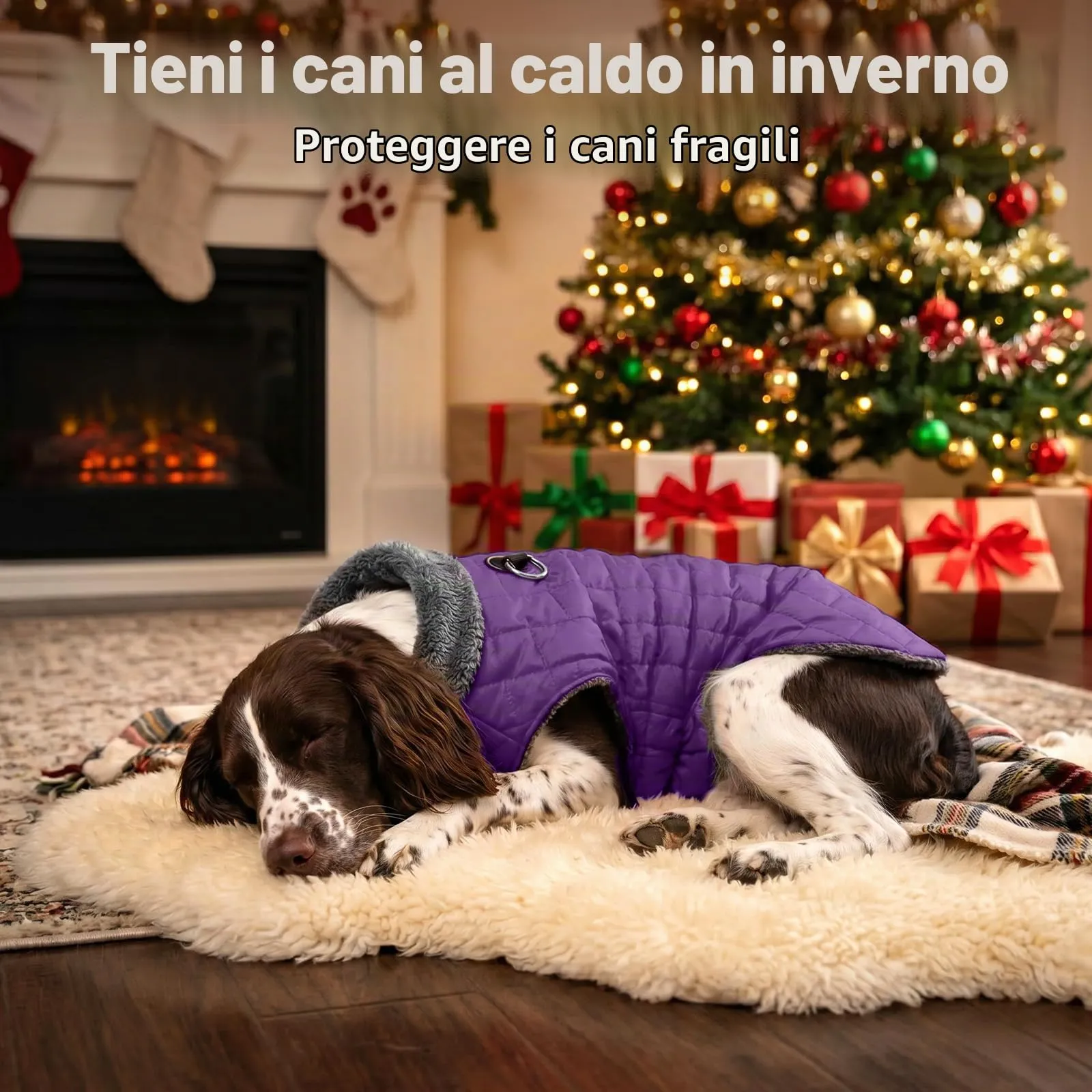 JoyDaog Cappottino in pile impermeabile per cani con imbracatura integrata, Viola, XS - immagine 9