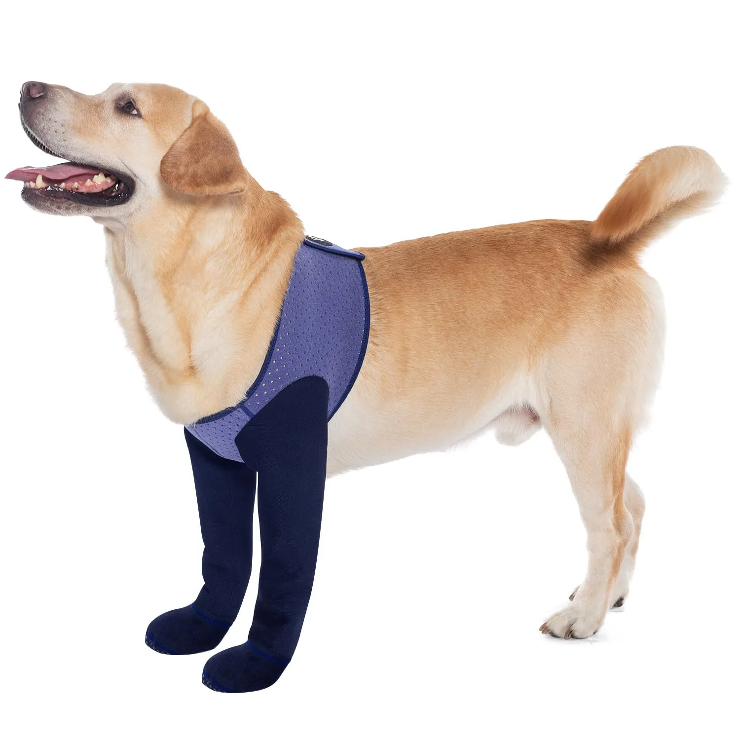COODEO Calzini Anti-licking per Zampe di Cane, Protettori Antiscivolo Impermeabili per Protezione Post-Operatoria, Violetta, M - immagine 1