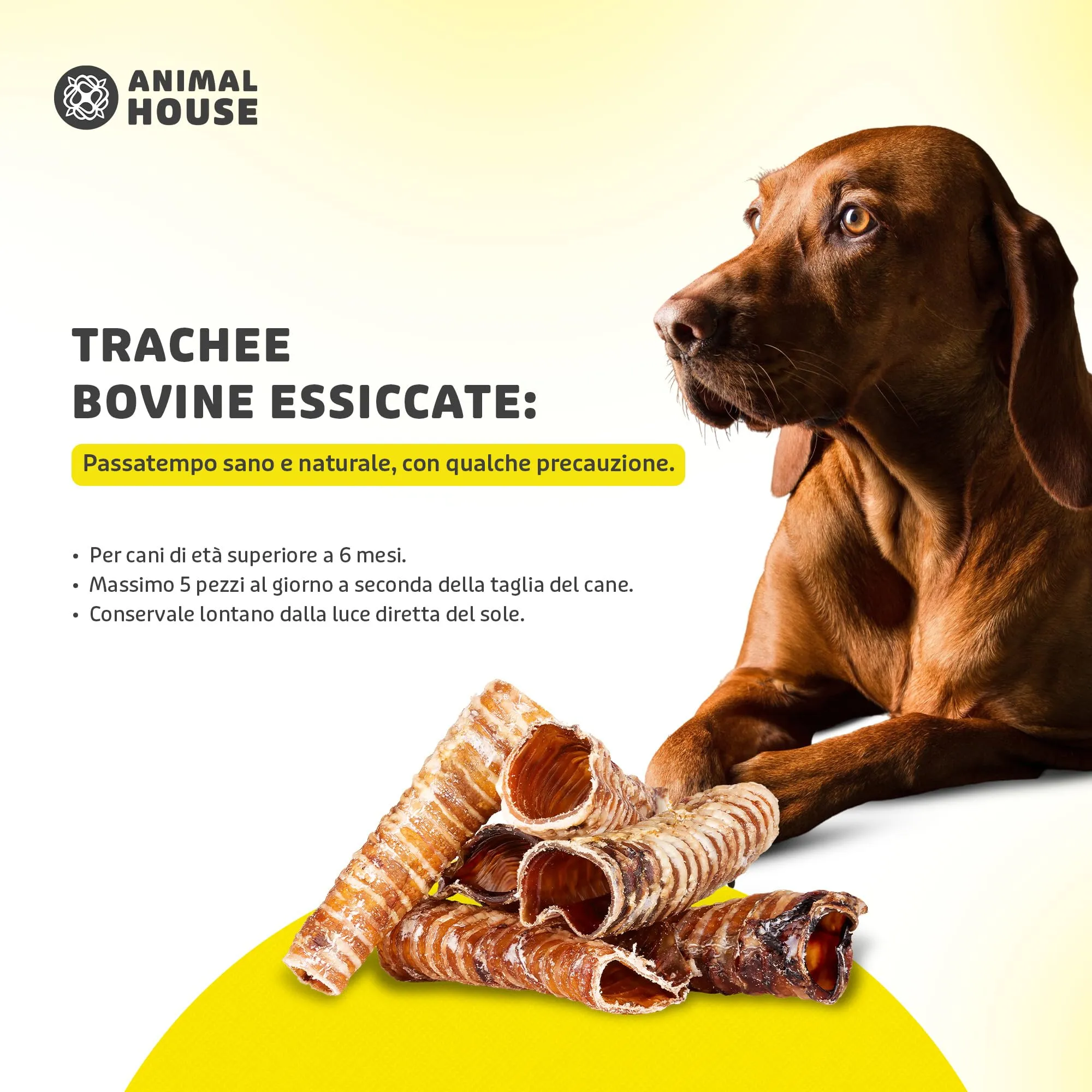 Animal House Snack Naturale per Cani BARF Trachee Bovine, 500 g - immagine 5