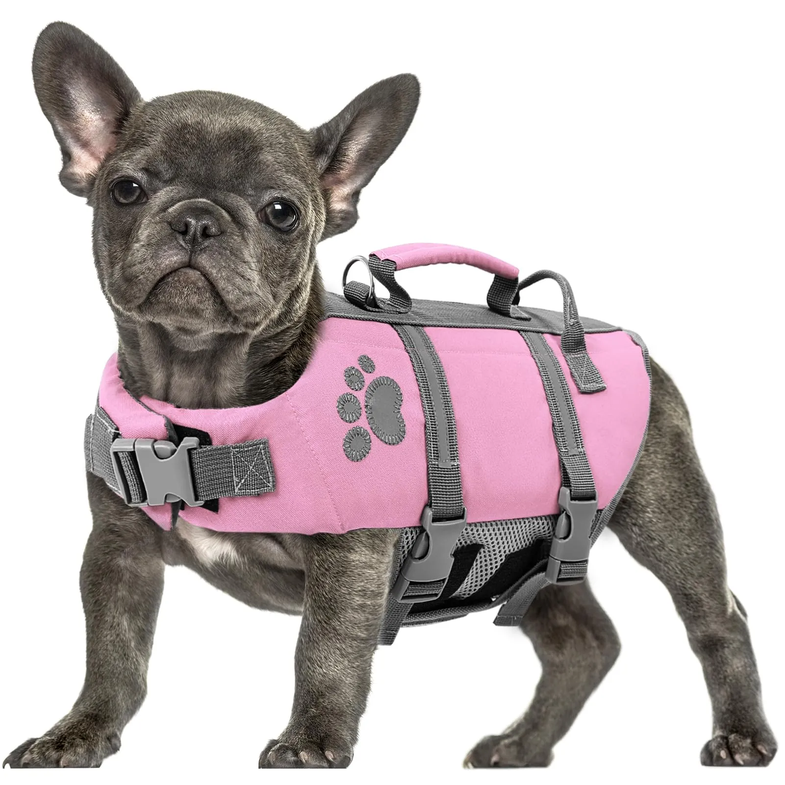 Queenmore Salvagente per Cani con Maniglia di Salvataggio, Rosa, L - immagine 1