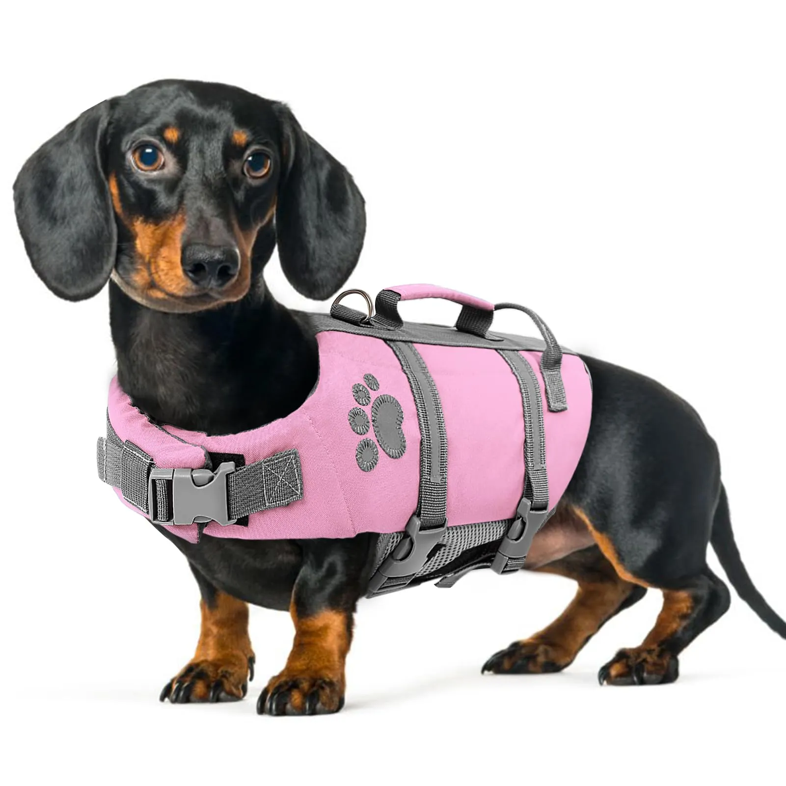 Queenmore Salvagente per Cani Taglia Media, Riflettente, Rosa, M - immagine 1