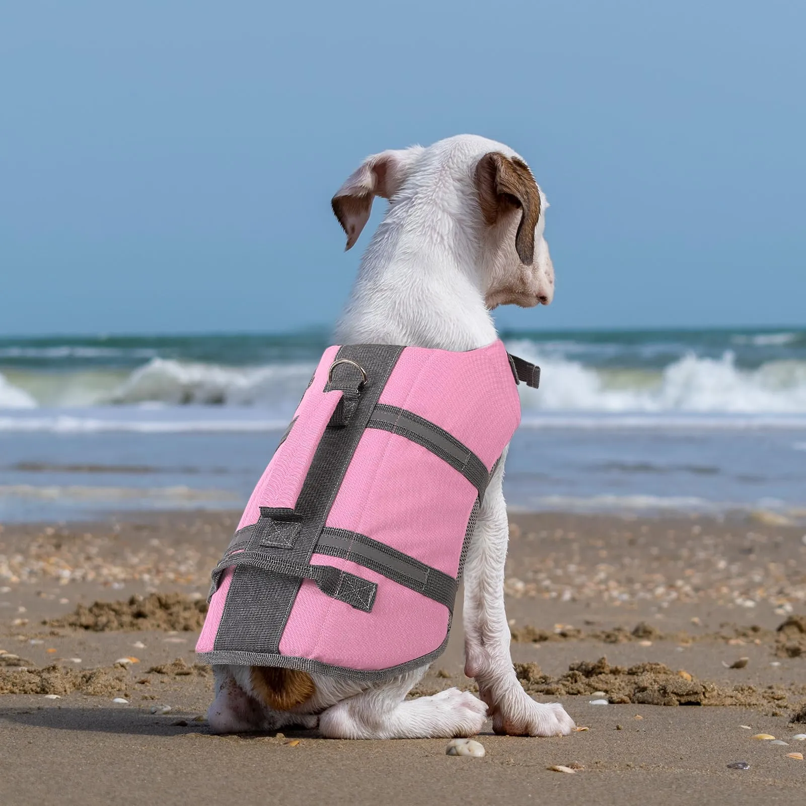 Queenmore Salvagente per Cani Taglia Media, Riflettente, Rosa, M - immagine 8