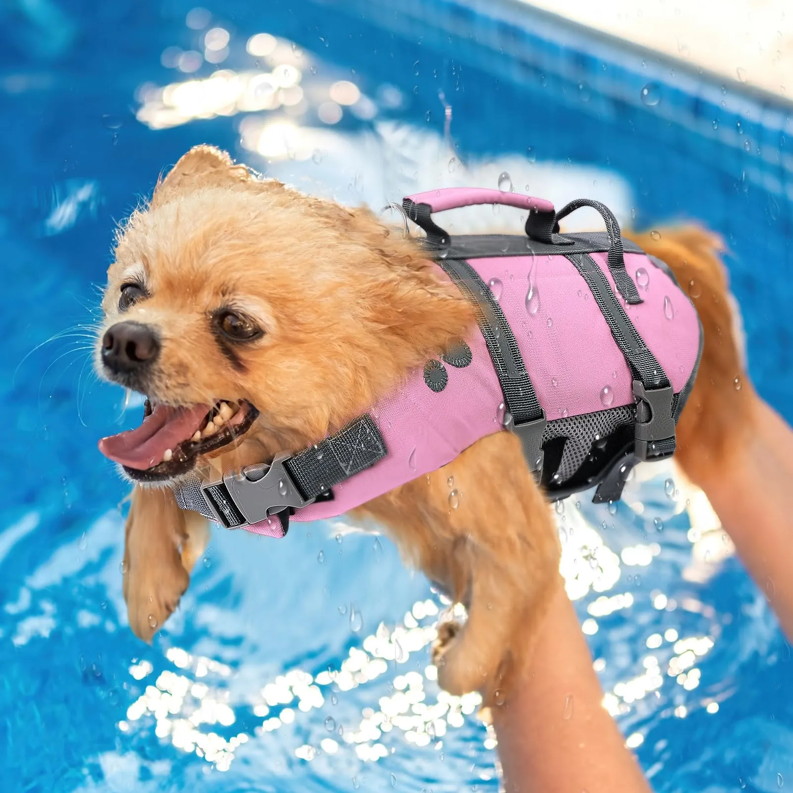 Queenmore Giubbotto Salvagente per Cani Grandi, Regolabile e Riflettente, Rosa, XL - immagine 7