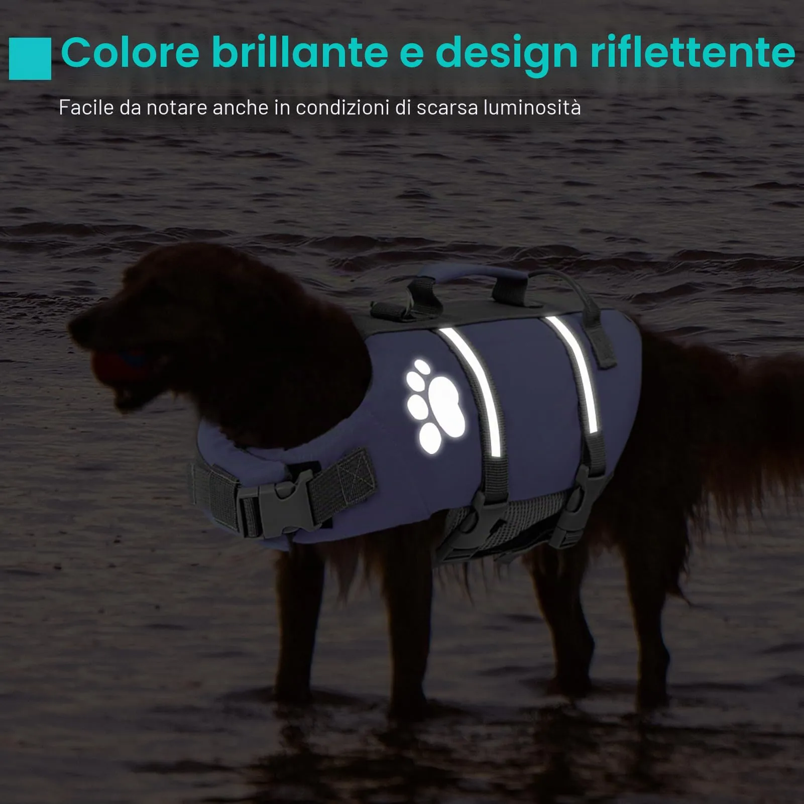 Queenmore Giubbotto Salvagente per Cani con Maniglia di Salvataggio, Lilac, L - immagine 4