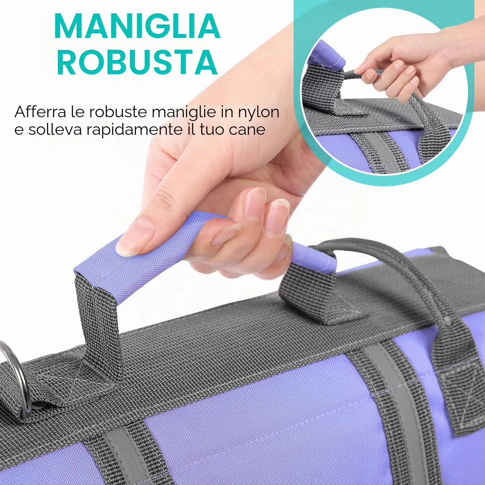 Queenmore Giubbotto Salvagente per Cani con Maniglia di Salvataggio, Lilac, L - immagine 5