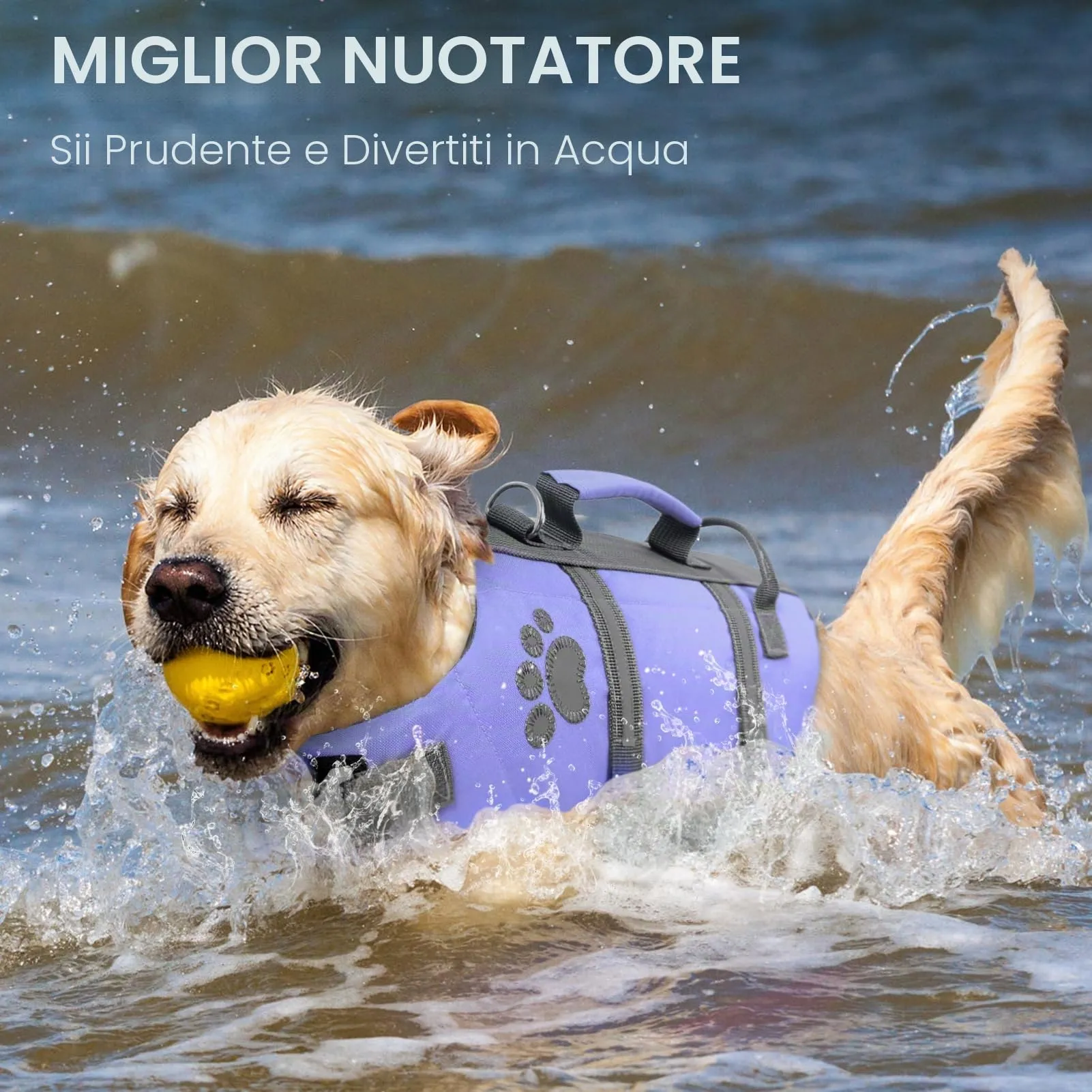 Queenmore Giubbotto Salvagente per Cani con Maniglia di Salvataggio, Lilac, L - immagine 6