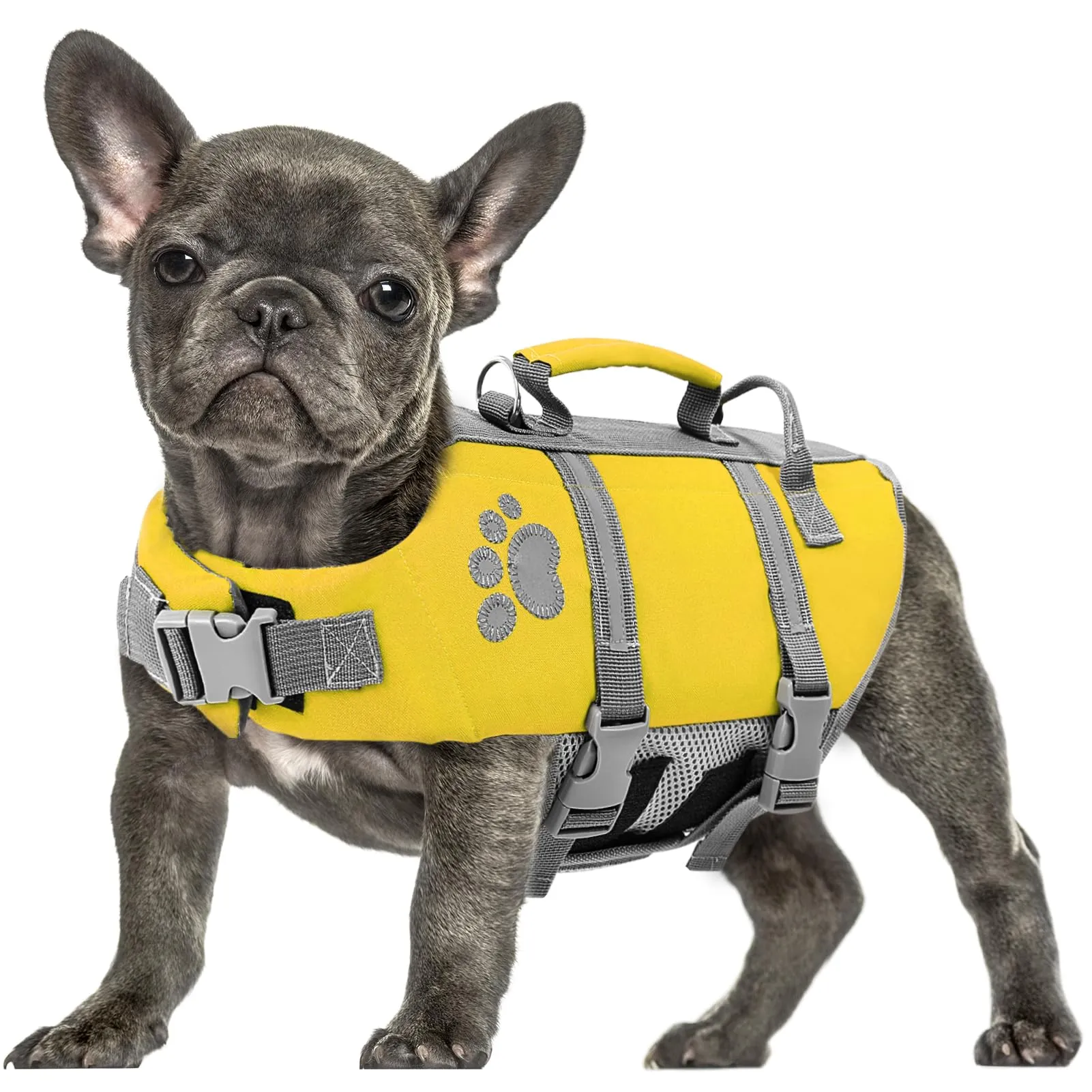 Queenmore Giubbotto Salvagente per Cani Grandi, Riflettente e Regolabile, Giallo, XL - immagine 1