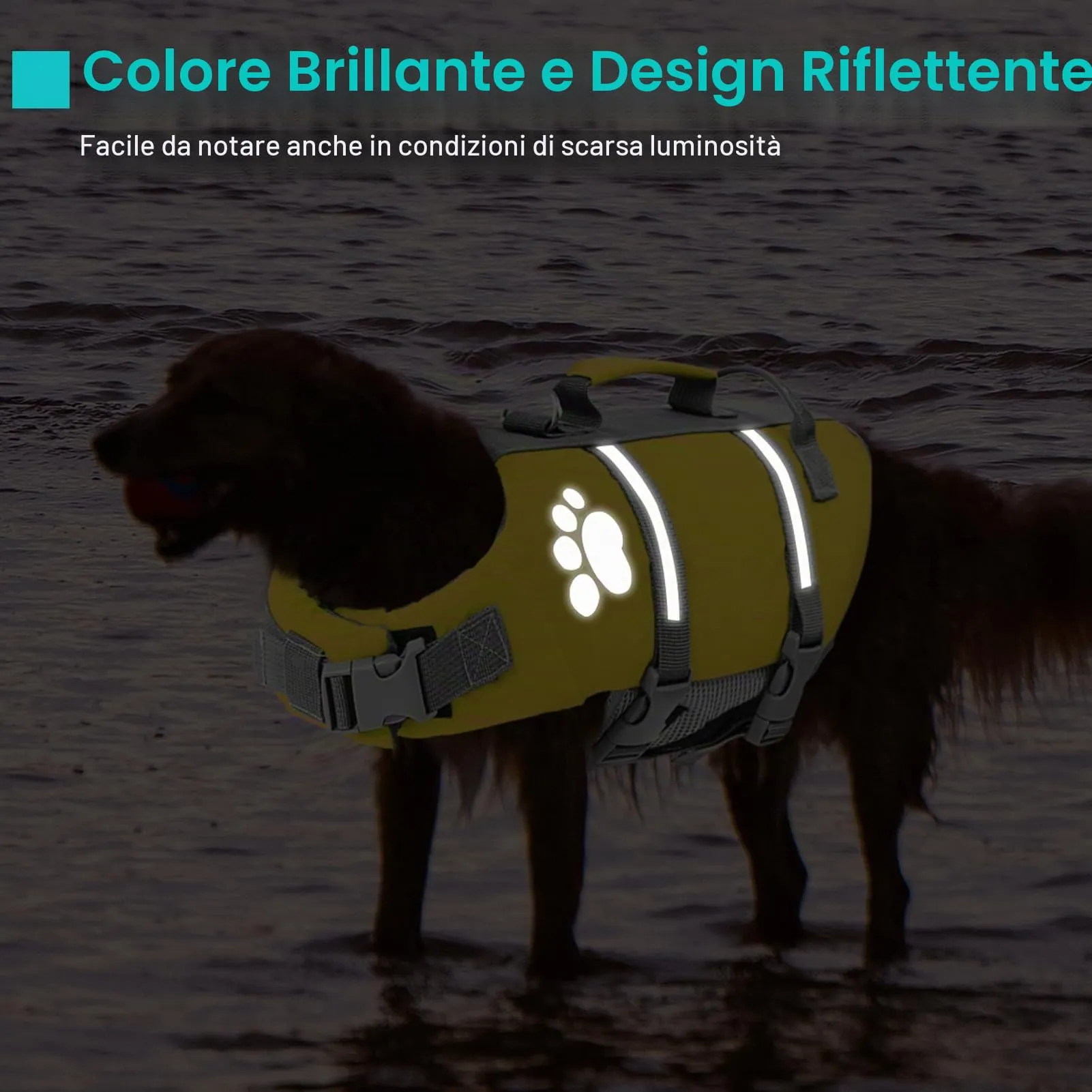 Queenmore Giubbotto Salvagente per Cani Grandi, Riflettente e Regolabile, Giallo, XL - immagine 4
