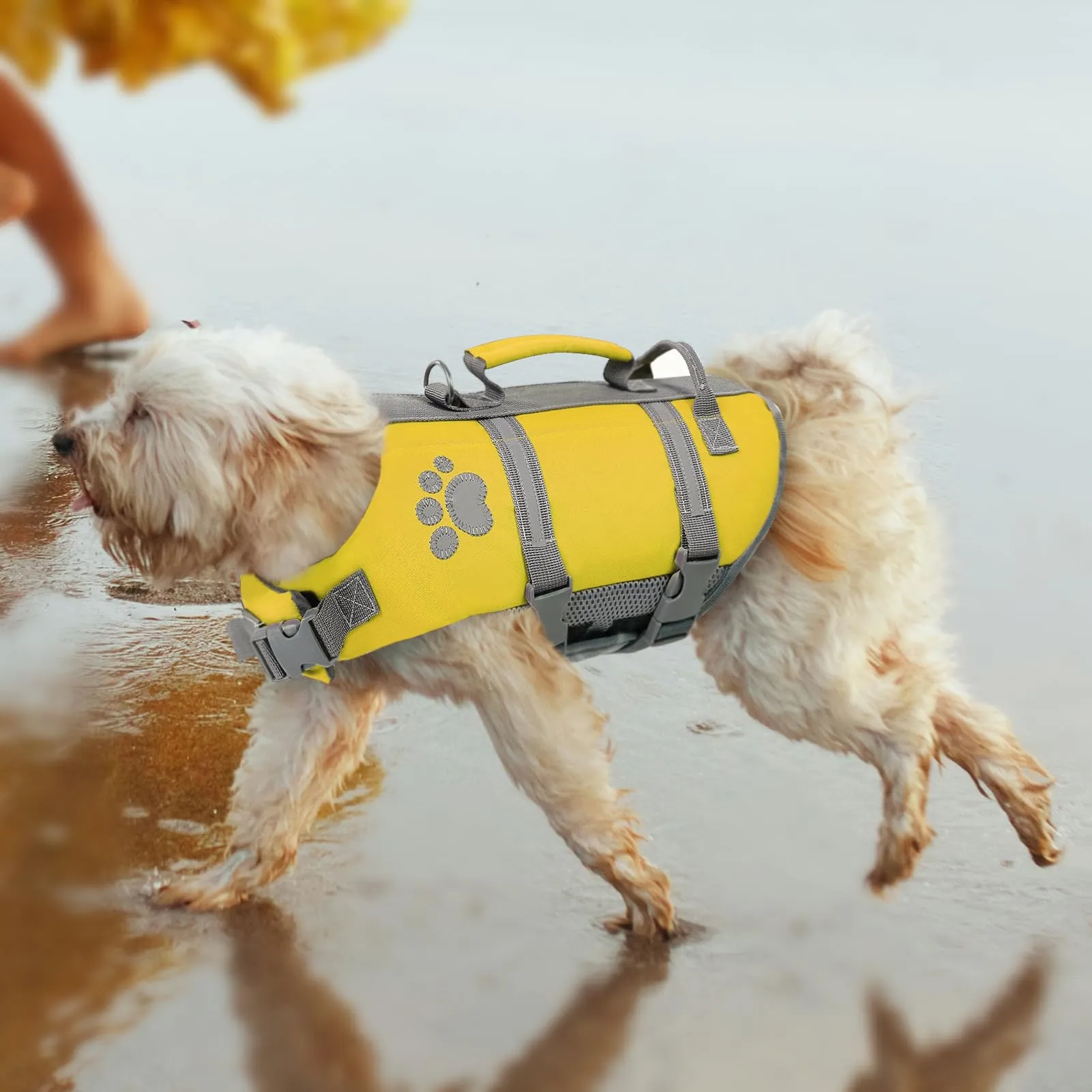 Queenmore Giubbotto Salvagente per Cani Grandi, Riflettente e Regolabile, Giallo, XL - immagine 7