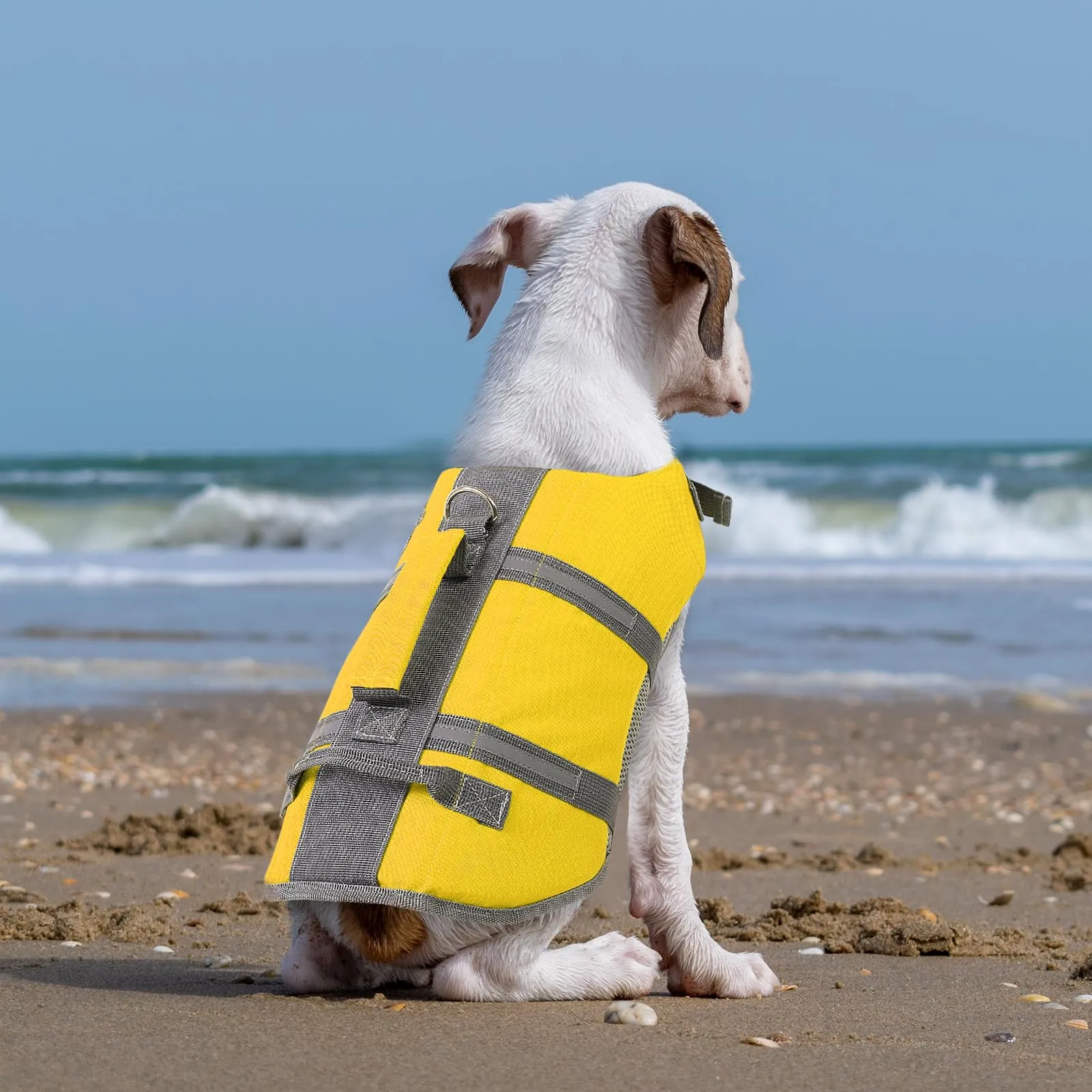 Queenmore Giubbotto Salvagente per Cani Grandi, Riflettente e Regolabile, Giallo, XL - immagine 8