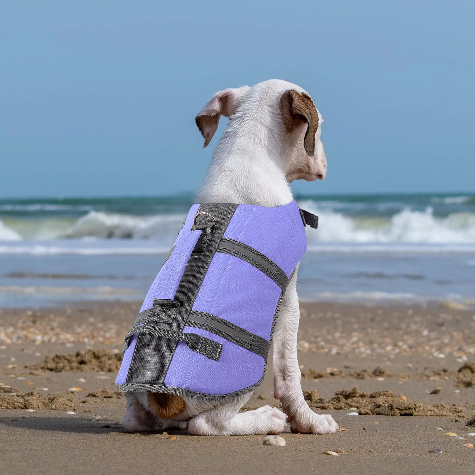 Queenmore Giubbotto Salvagente per Cani Grandi, Regolabile e Riflettente, Lilac, XL - immagine 7