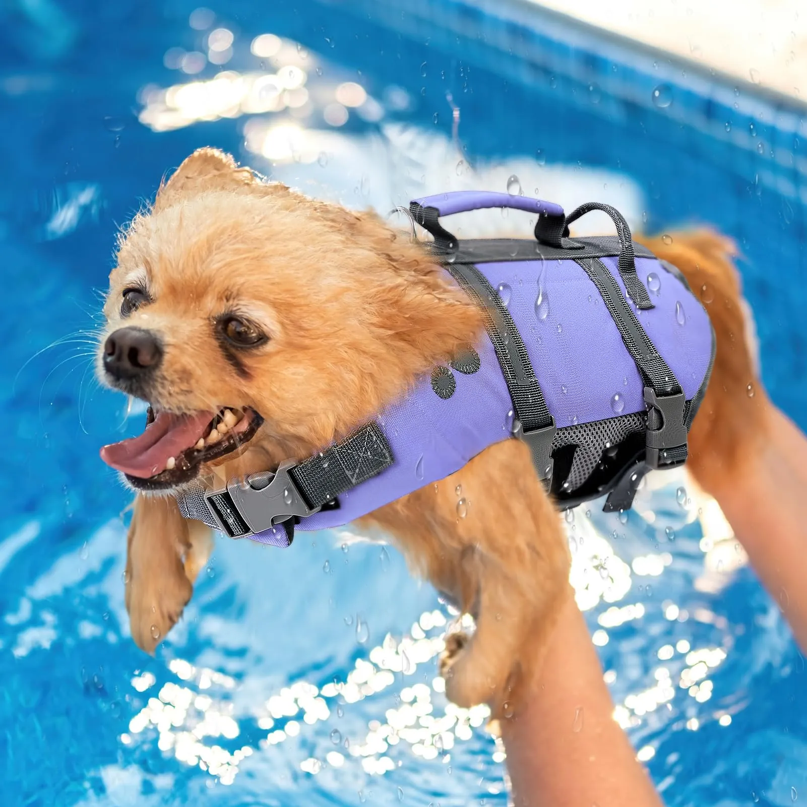 Queenmore Giubbotto Salvagente per Cani Grandi, Regolabile e Riflettente, Lilac, XL - immagine 8