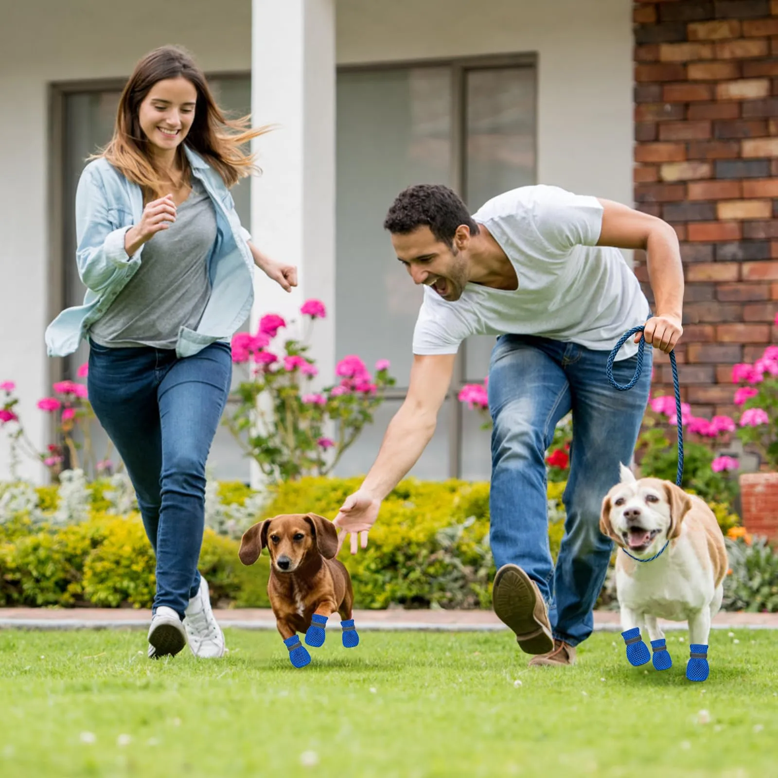 YEAMLTE Scarpe Estive per Cani in Rete, Antiscivolo e Traspiranti, 4 Pezzi, Blu, XL - immagine 4