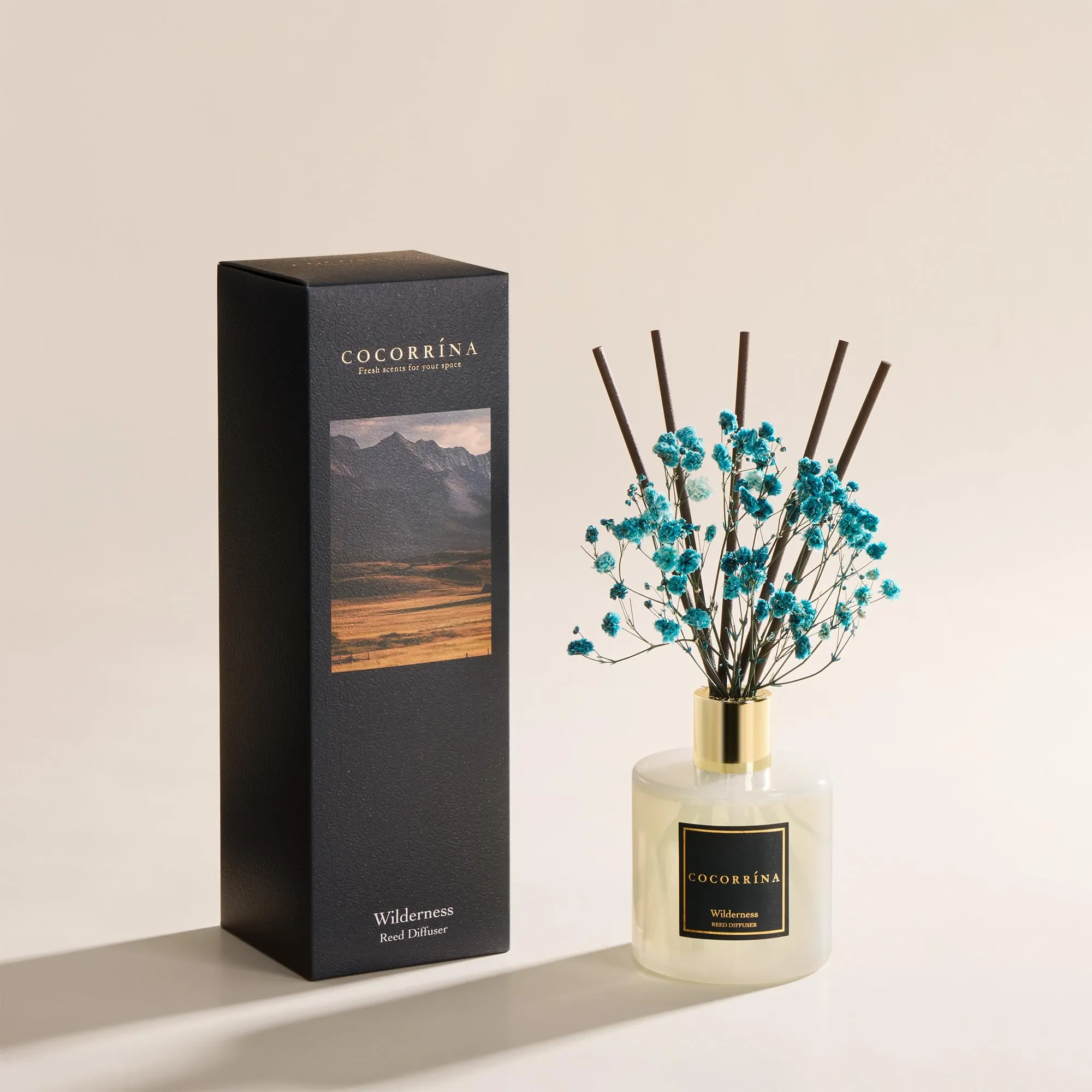 COCORRÍNA Diffusore di profumo per ambienti, 200 ml, 8 bastoncini profumati - immagine 2