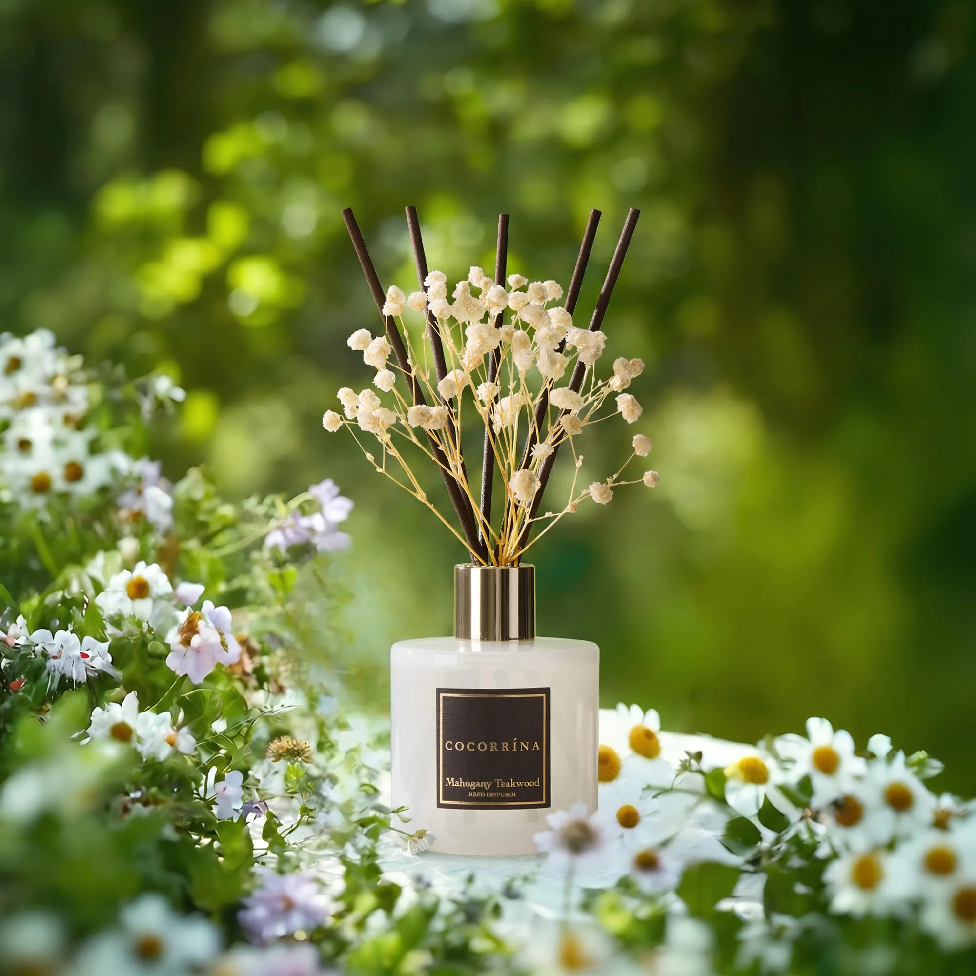 COCORRÍNA Diffusore di profumo per ambienti, Mogano e Legno di Teak, 200 ml, 8 bastoncini - immagine 5