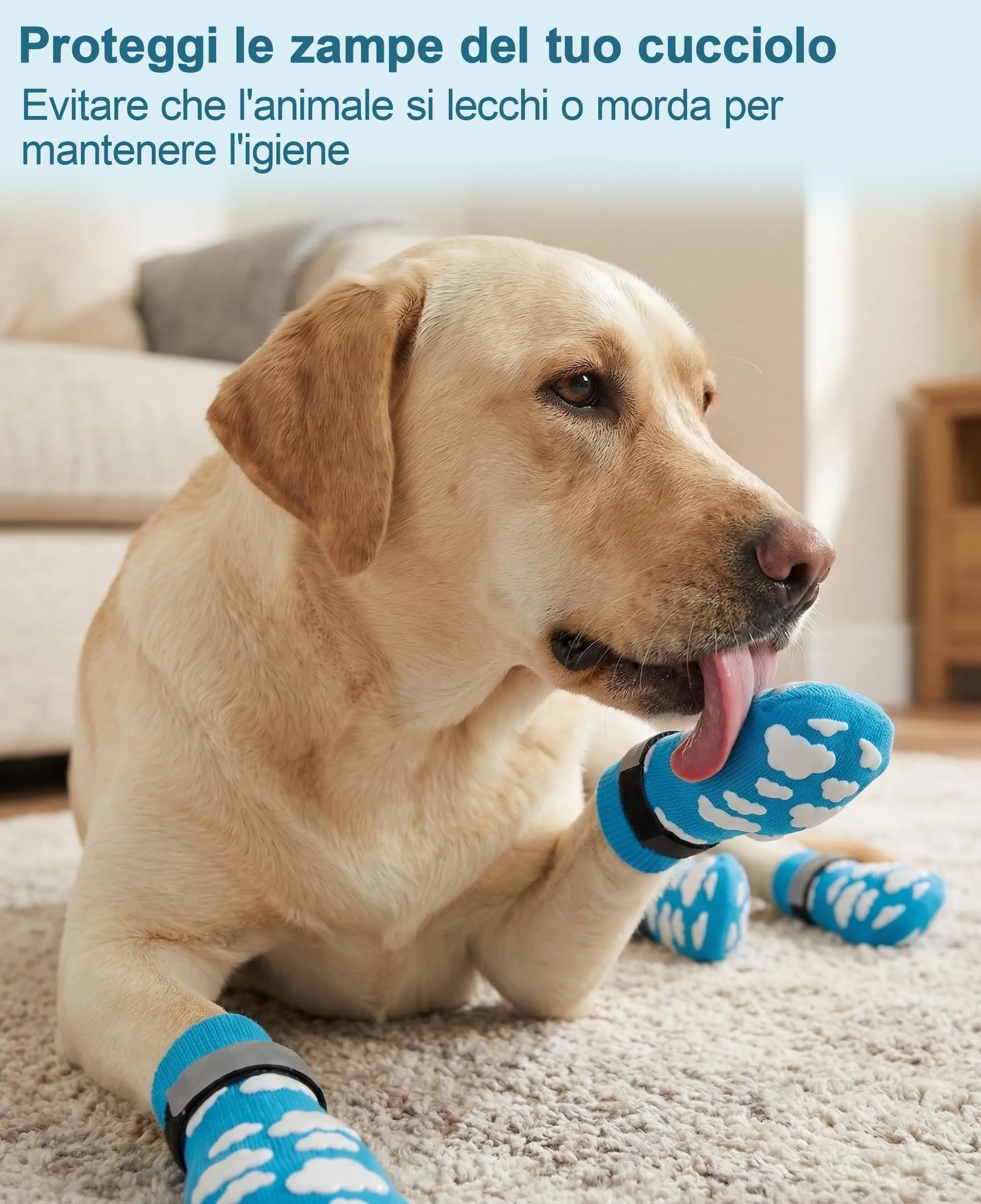 Fantasreen Calzini Antiscivolo per Cani, Cloud, XL, 6 Pezzi - immagine 4