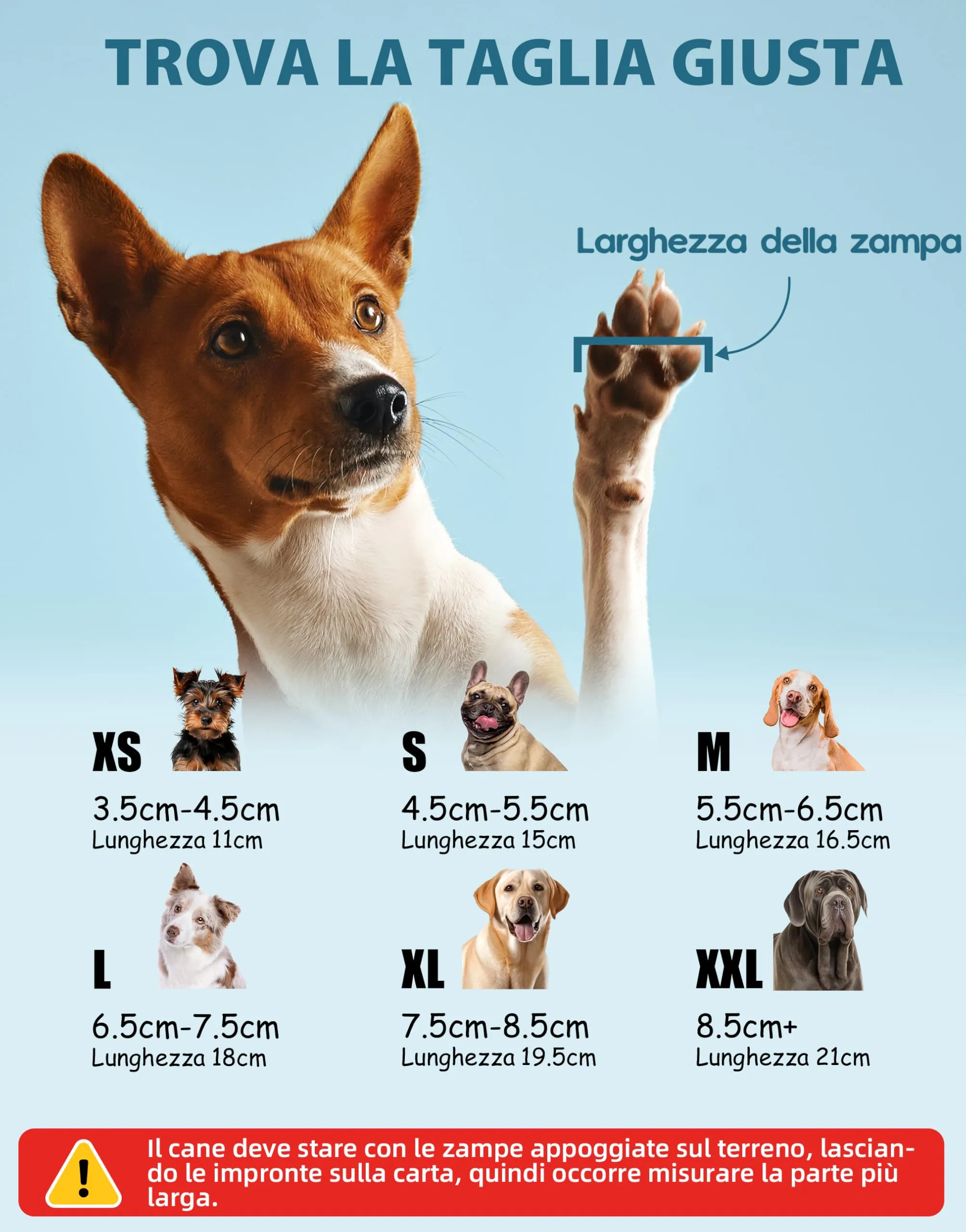 Fantasreen Calzini Antiscivolo per Cani con Grip, 6 Pezzi, Cloud, M - immagine 7