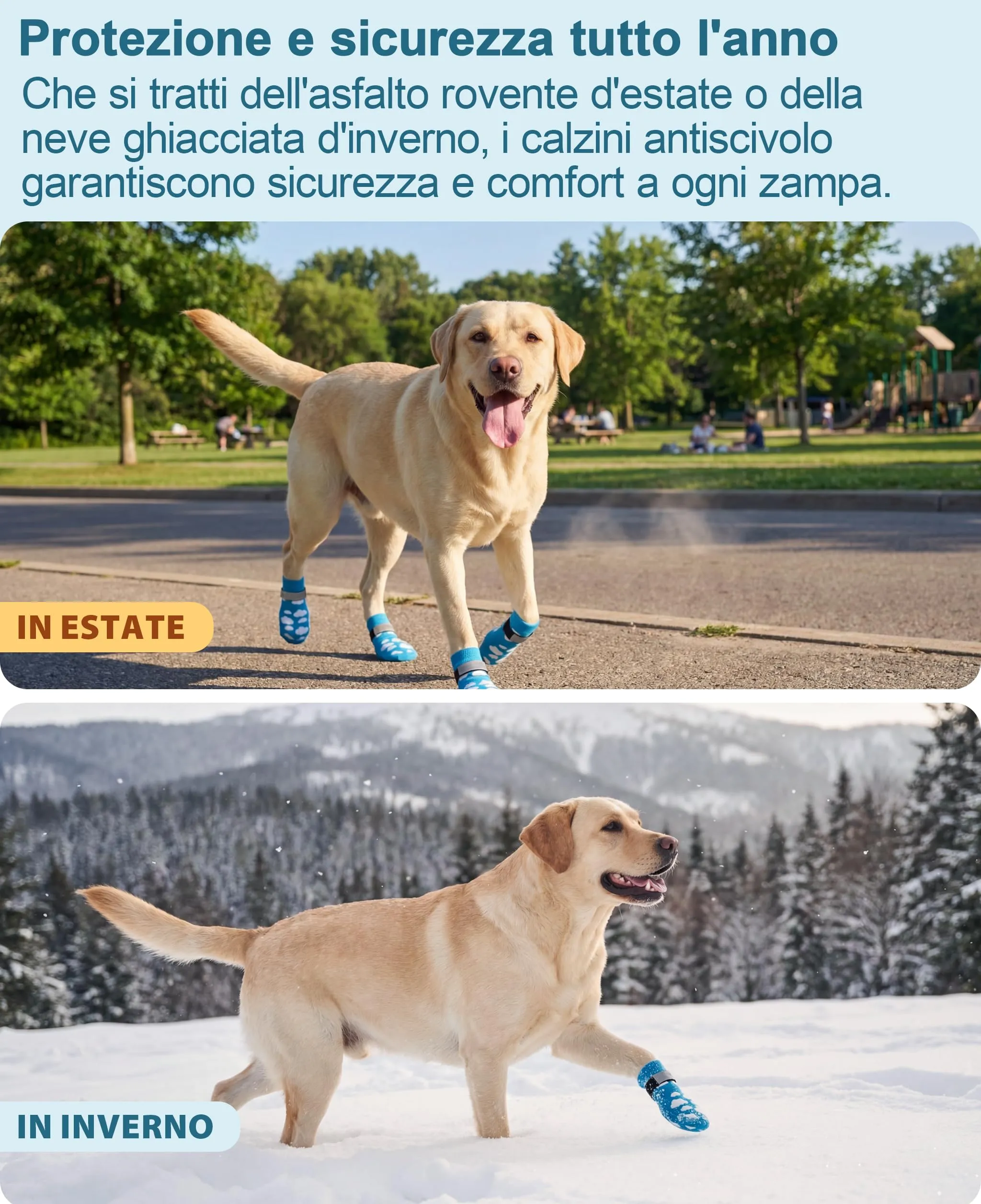 Fantasreen Calzini Antiscivolo per Cani con Grip, 6 Pezzi, Cloud, M - immagine 8