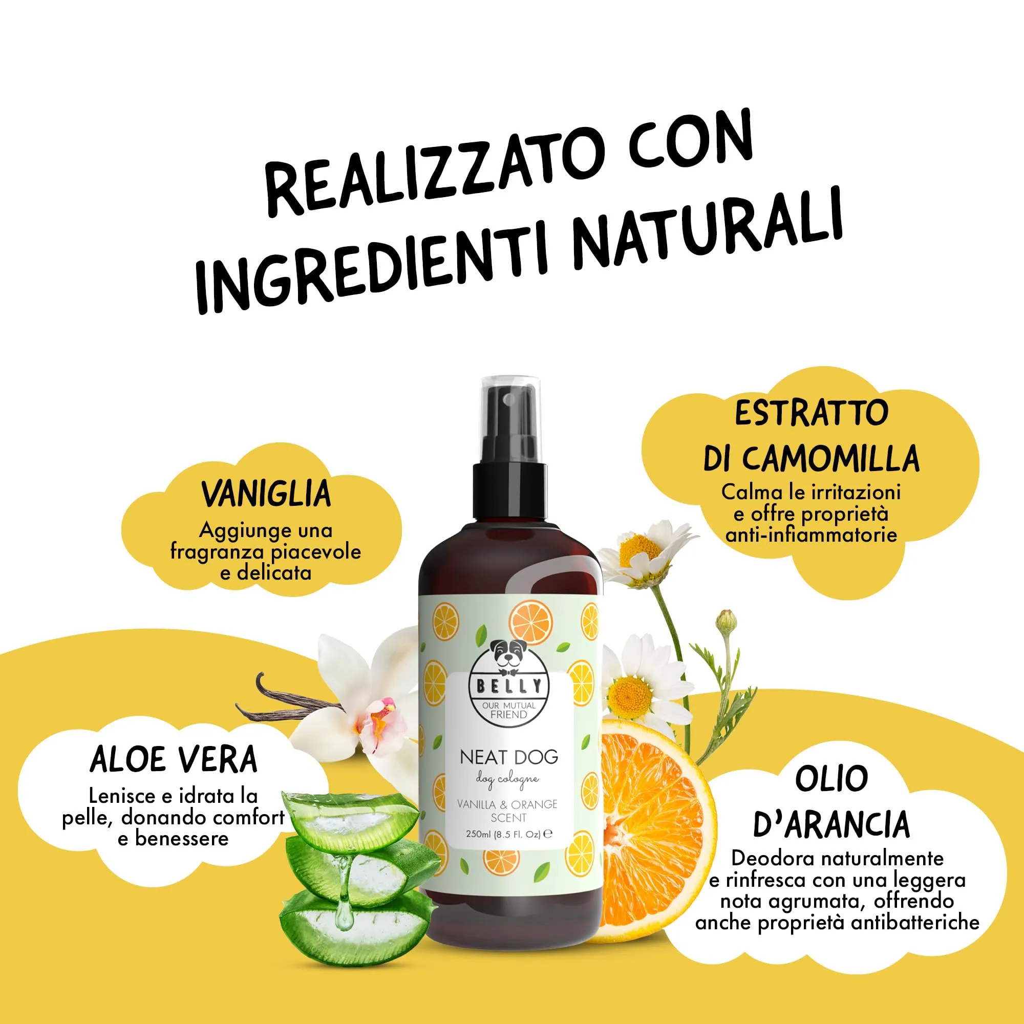 BELLY Profumo per Cani, Vaniglia e Arancia, Spray Deodorante Naturale e Vegan, 250 ml - immagine 3