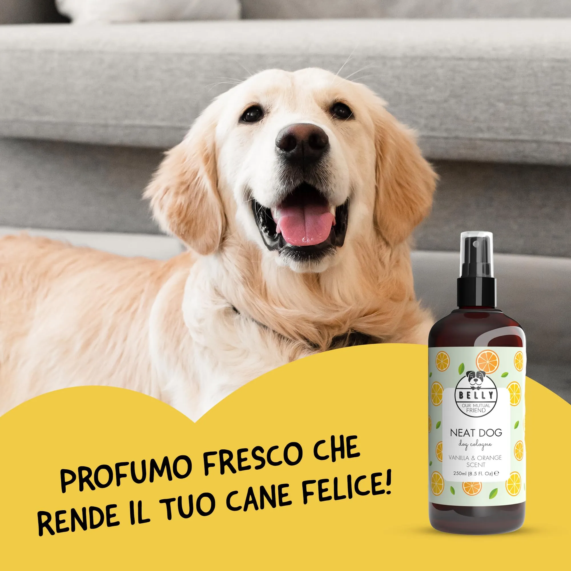 BELLY Profumo per Cani, Vaniglia e Arancia, Spray Deodorante Naturale e Vegan, 250 ml - immagine 5