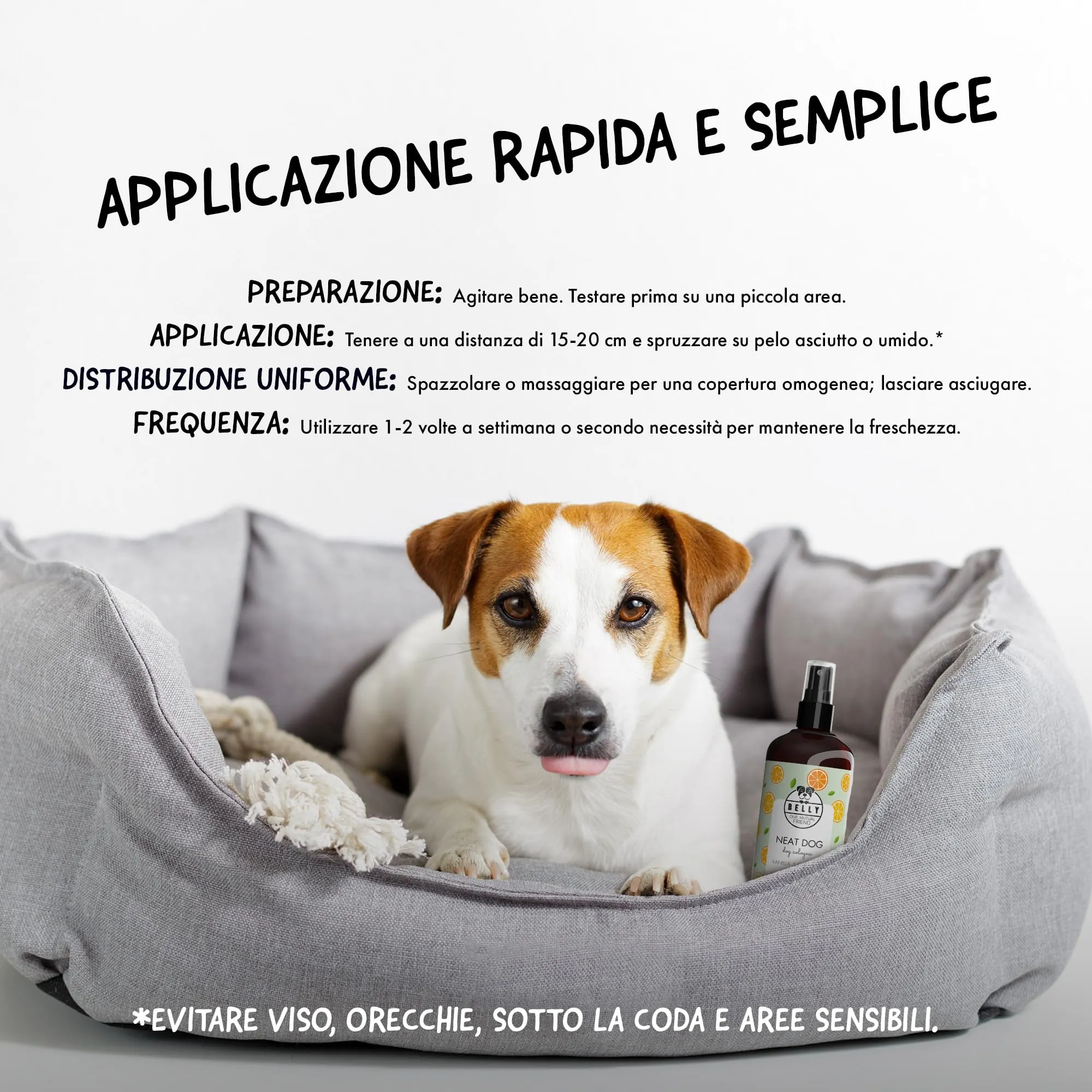 BELLY Profumo per Cani, Vaniglia e Arancia, Spray Deodorante Naturale e Vegan, 250 ml - immagine 7