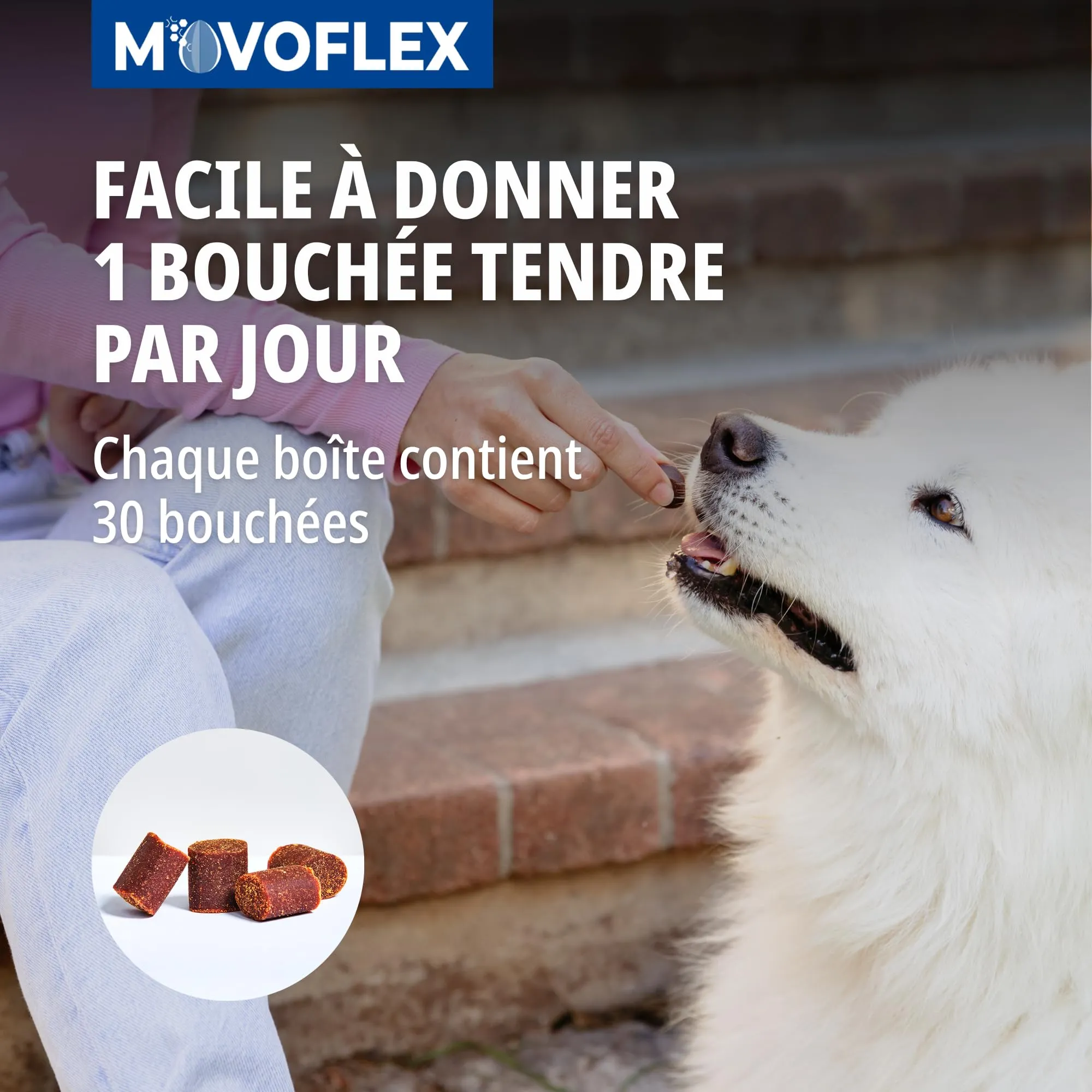 Virbac Movoflex Soft Chews Supporto Articolare per Cani - immagine 3