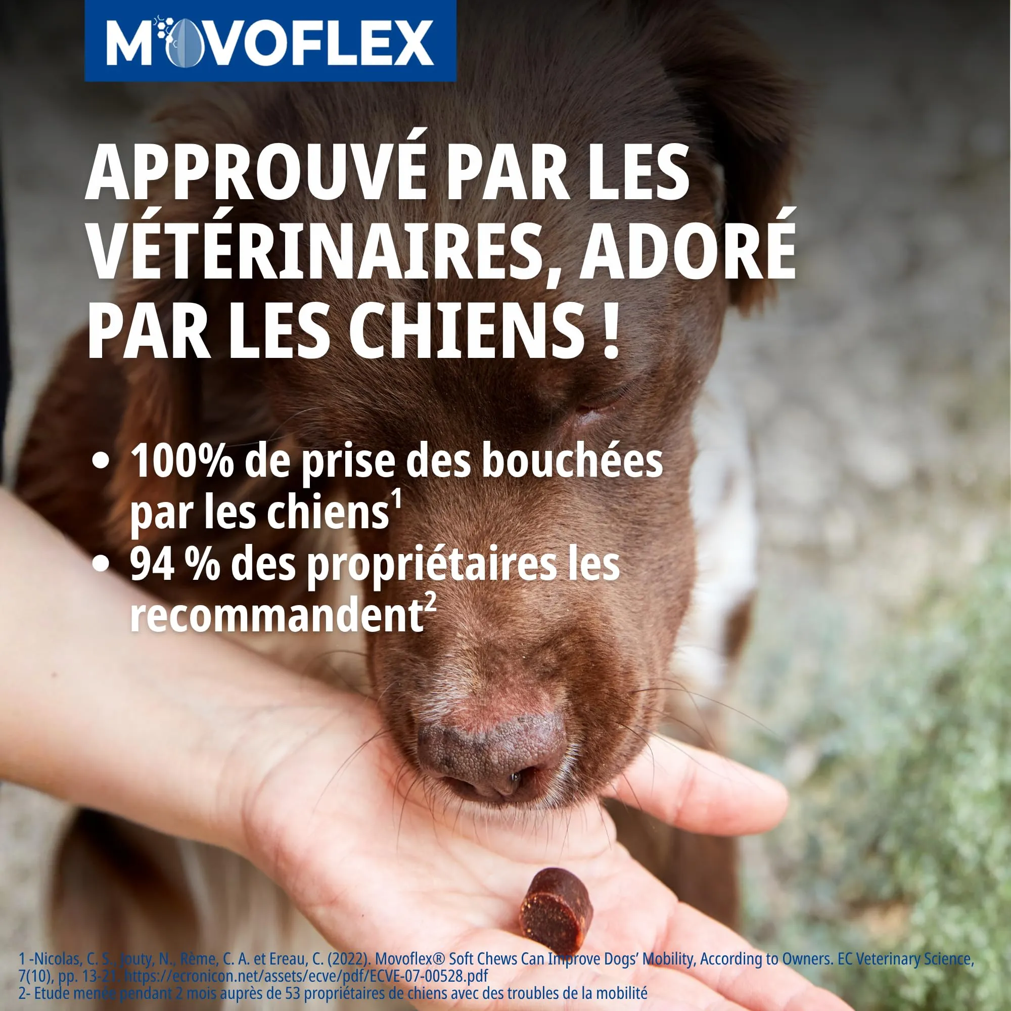 Virbac Movoflex Soft Chews Supporto Articolare per Cani - immagine 6