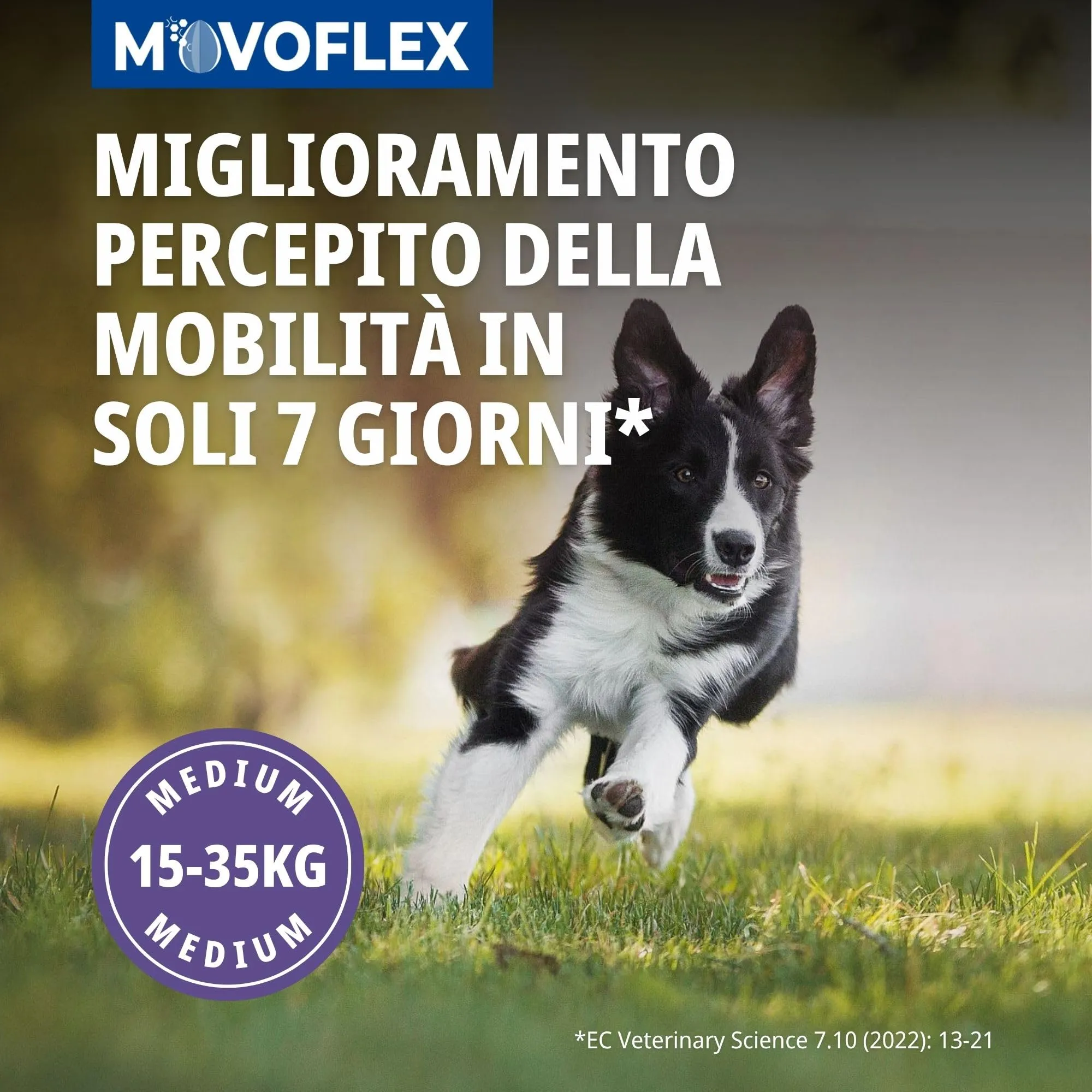 Virbac Movoflex Soft Chews – Supporto Articolare per Cani - immagine 2