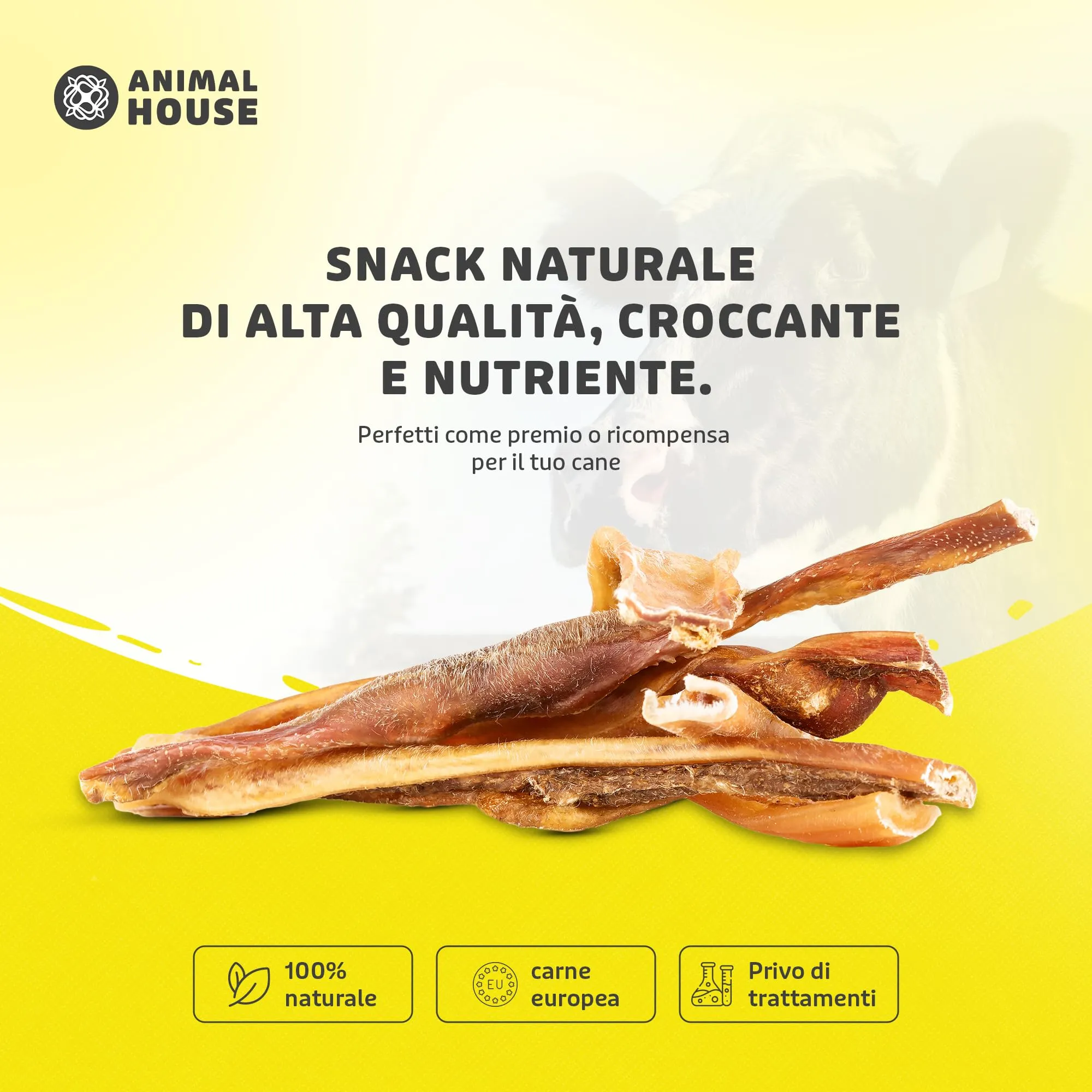 Animal House Snack Naturale per Cani Pelle di Testa Bovina 30 cm, 500 g - immagine 2