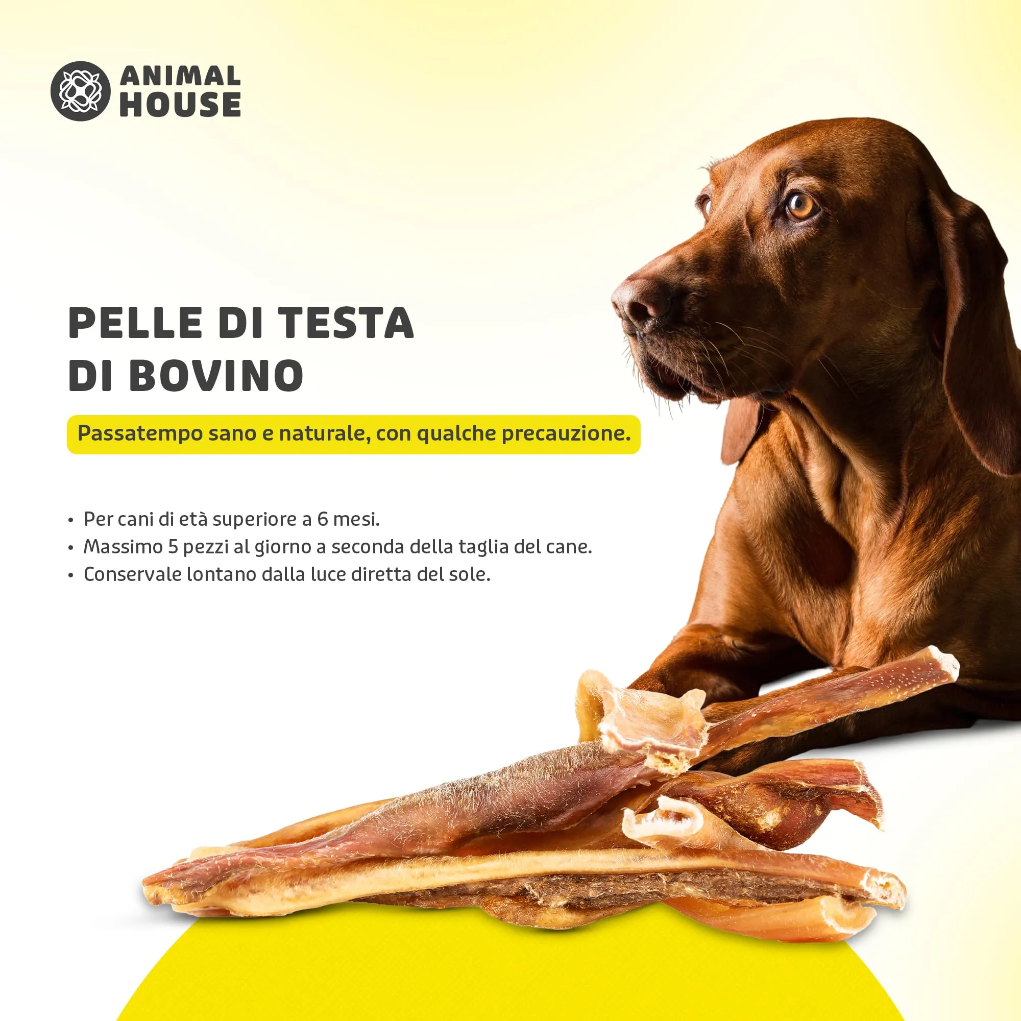 Animal House Snack Naturale per Cani Pelle di Testa Bovina 30 cm, 500 g - immagine 5