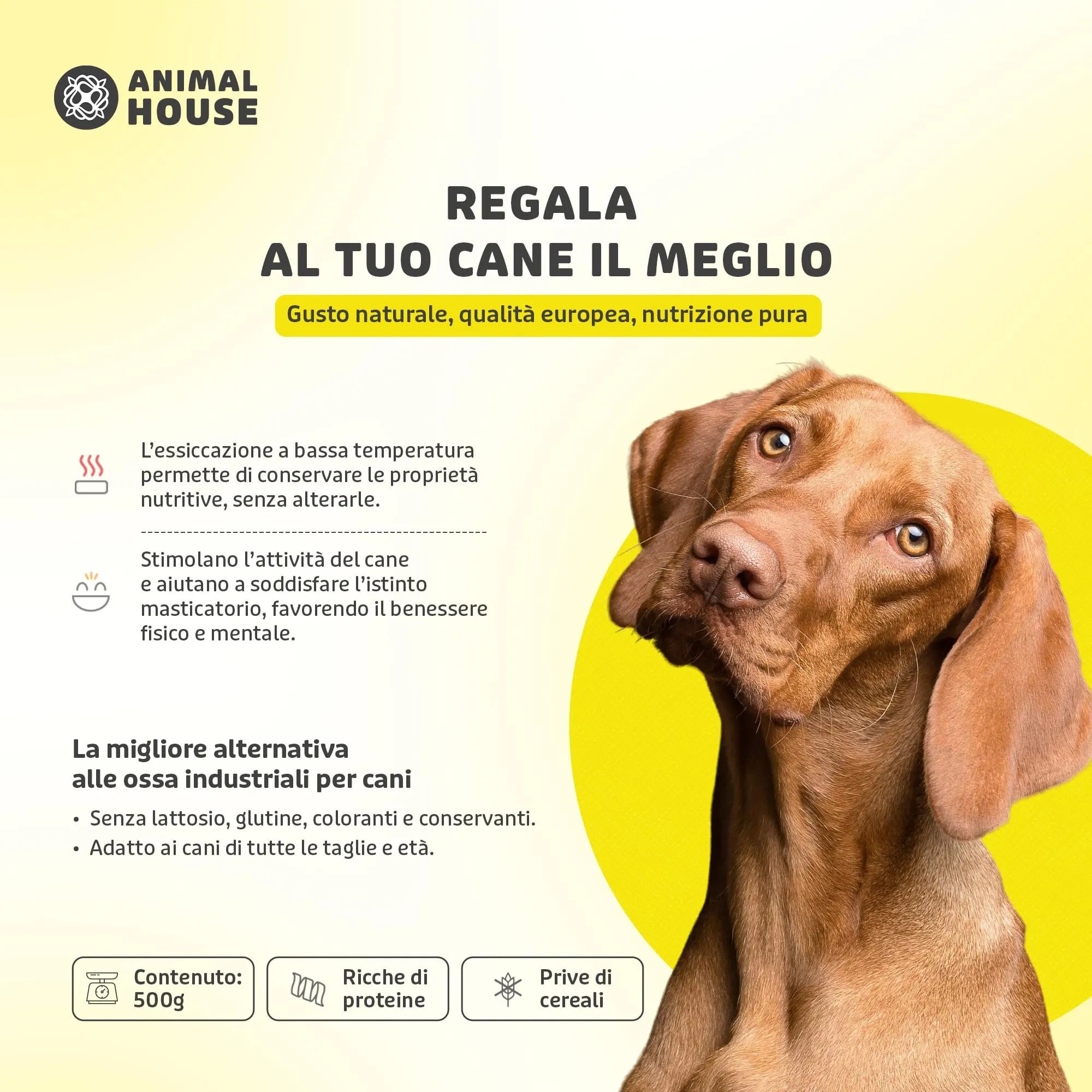 Animal House Snack Naturale per Cani BARF, Ritagli Orecchie Suine, 500 g - immagine 3