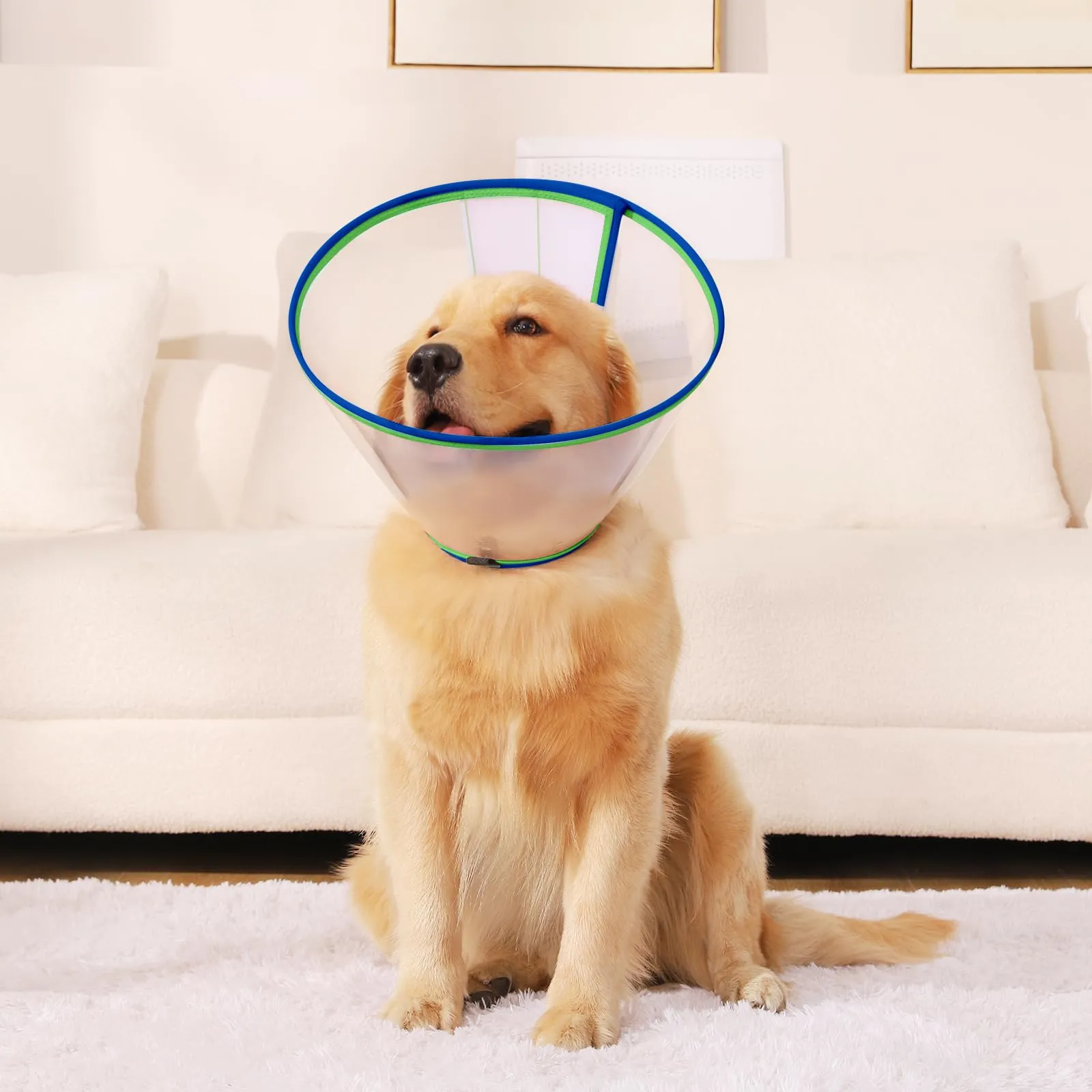 ICOYEA Collare Elisabettiano Morbido per Cani, Post-Operatorio Anti-Leccamento e Anti-Morso, Blu, Size 4 - immagine 6