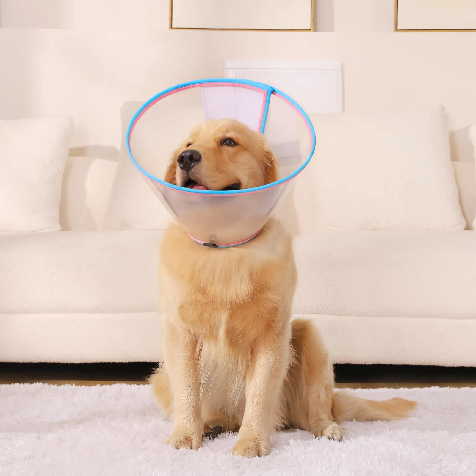 ICOYEA Collare Elisabettiano Morbido per Cani, Cono Post-Operatorio Regolabile, Anti-Leccamento e Anti-Morso, Rosa, Size 4 - immagine 6