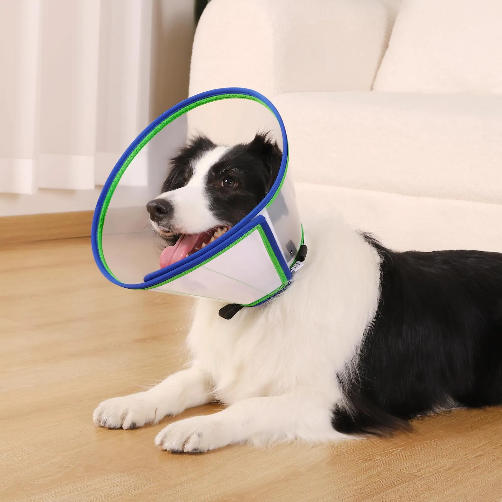 ICOYEA Collare Elisabettiano per Cani Morbido e Regolabile, Anti-Leccamento e Anti-Morso, Blu, Size 1 - immagine 6