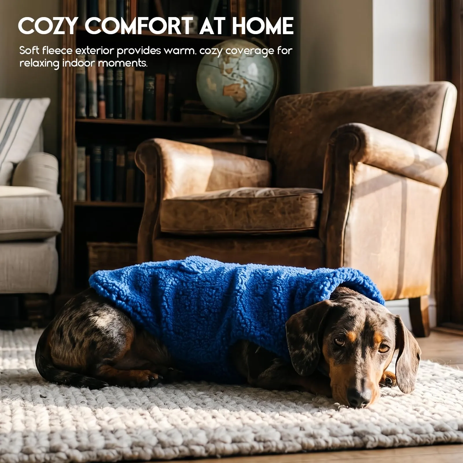 ASENKU Cappotto Cane Invernale Impermeabile Reversibile, Taglia XL, Blu Reale - immagine 7