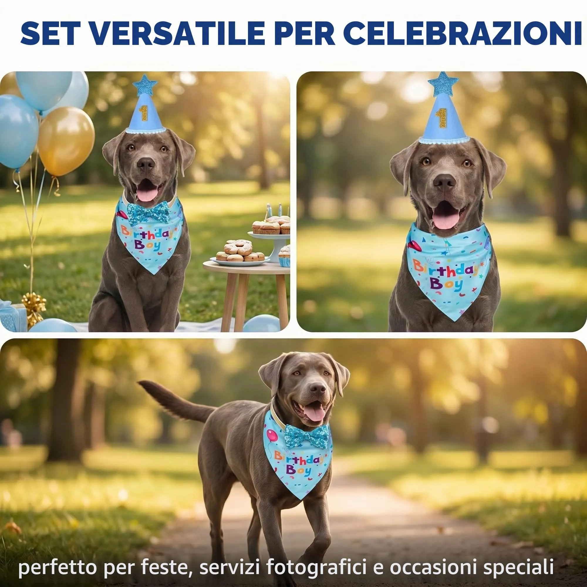 OIXEYA Set Compleanno per Cani, Bandana e Cappello, Blu, Taglia L - immagine 4