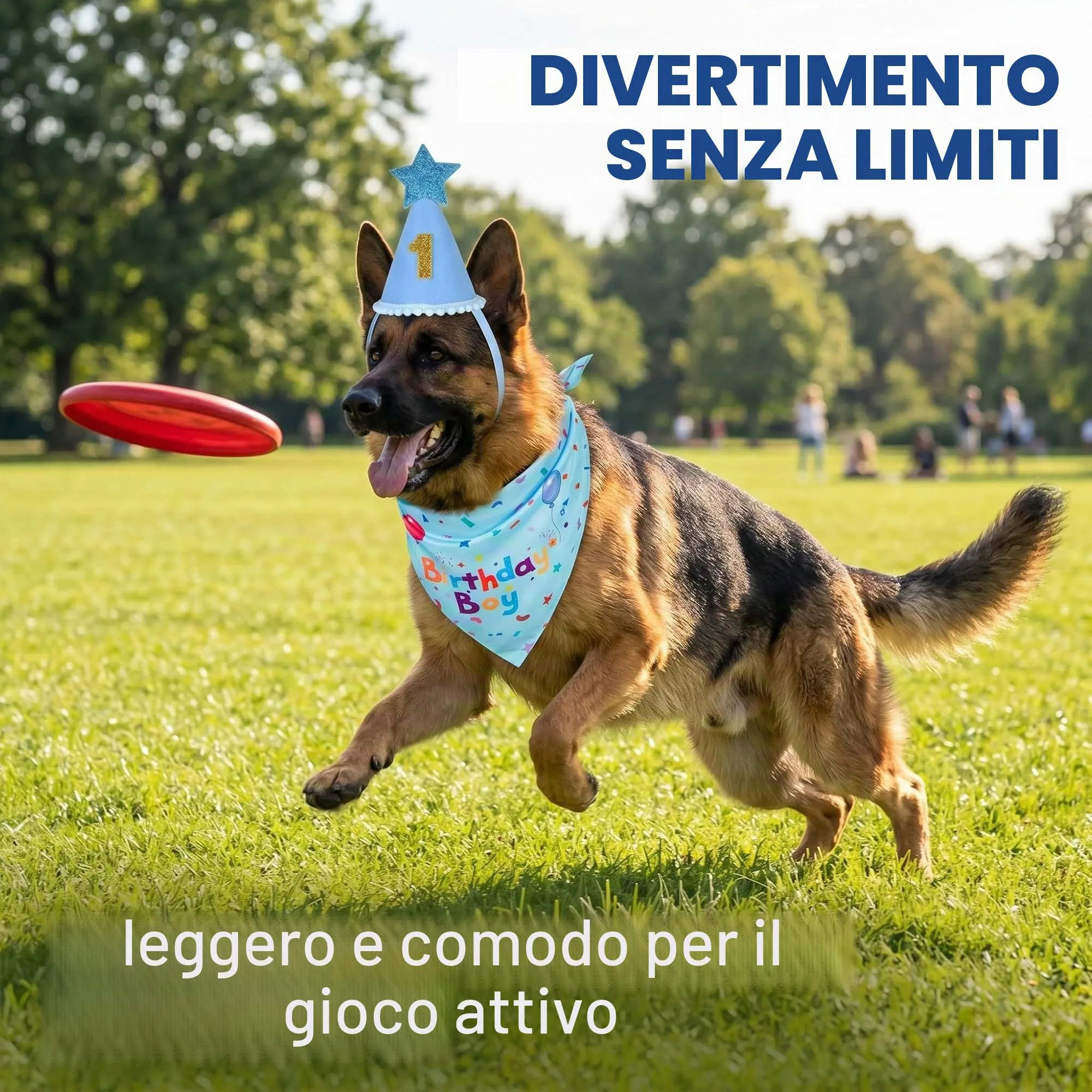 OIXEYA Set Compleanno per Cani, Bandana e Cappello, Blu, Taglia L - immagine 6