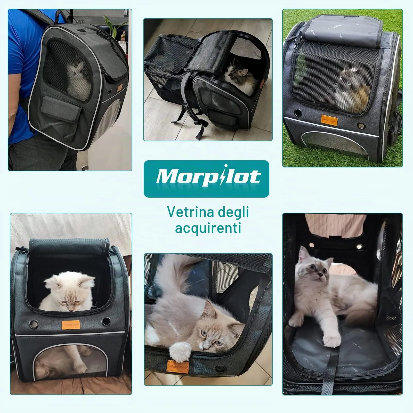 Morpilot Zaino per Gatti e Cani Estensibile, Trasportino fino a 8 kg, Grigio Scuro - immagine 7