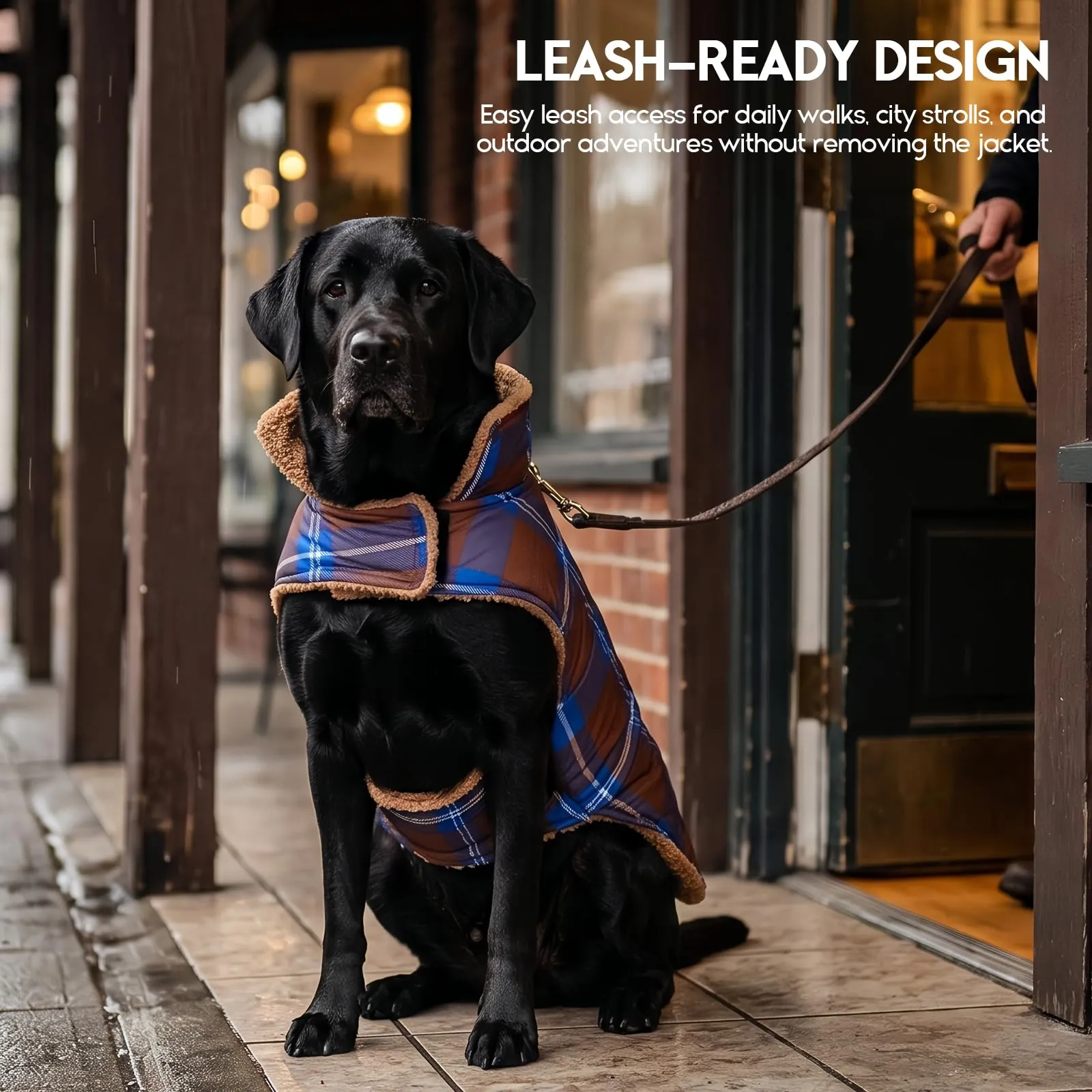 ASENKU Cappotto Cane Invernale Impermeabile Reversibile XL, Cachi - immagine 3
