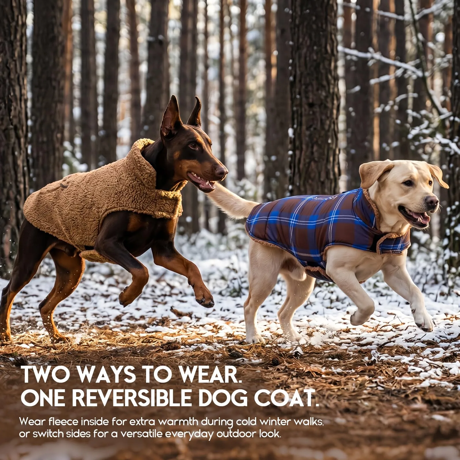 ASENKU Cappotto Cane Invernale Impermeabile Reversibile, Tartan e Pile, 2XL - immagine 8