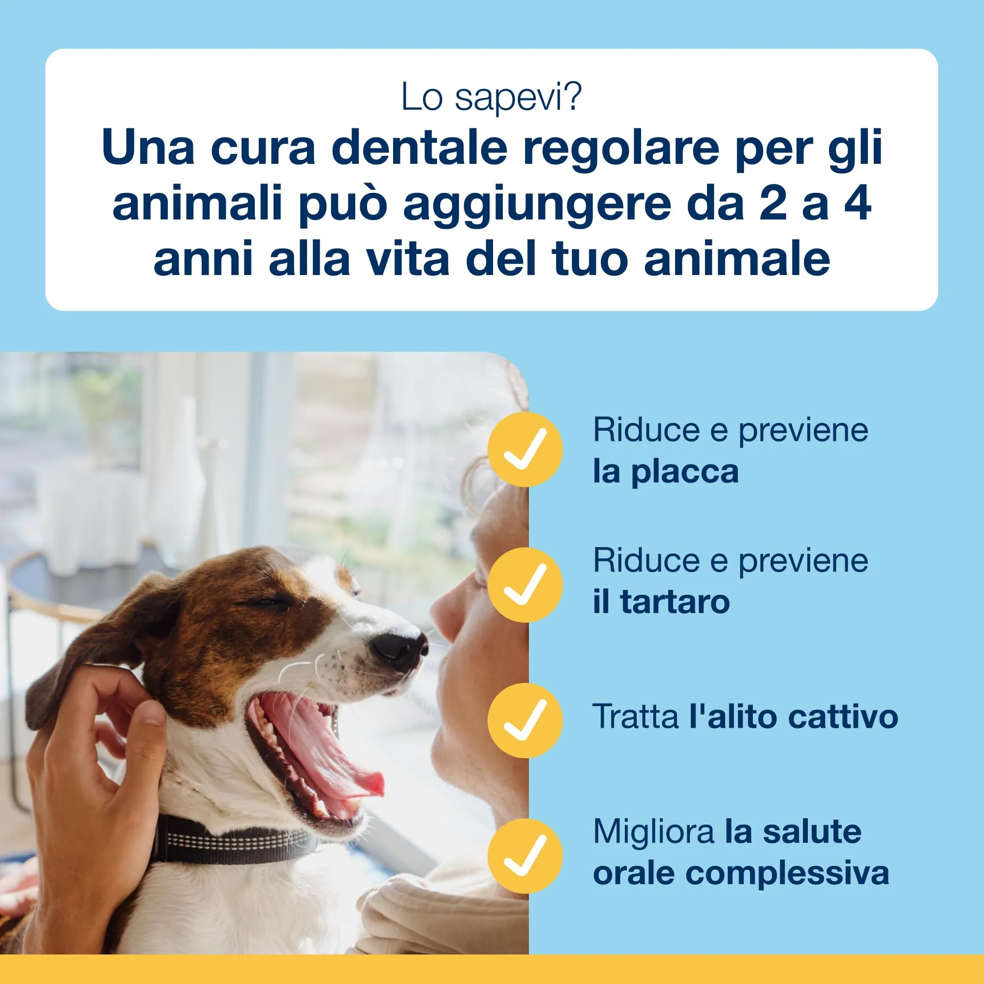 ProDen PlaqueOff Kit per Cani Medi e Grandi: Polvere Dentale 60g + 13 Dental Bones Pollo e Zucca - immagine 4