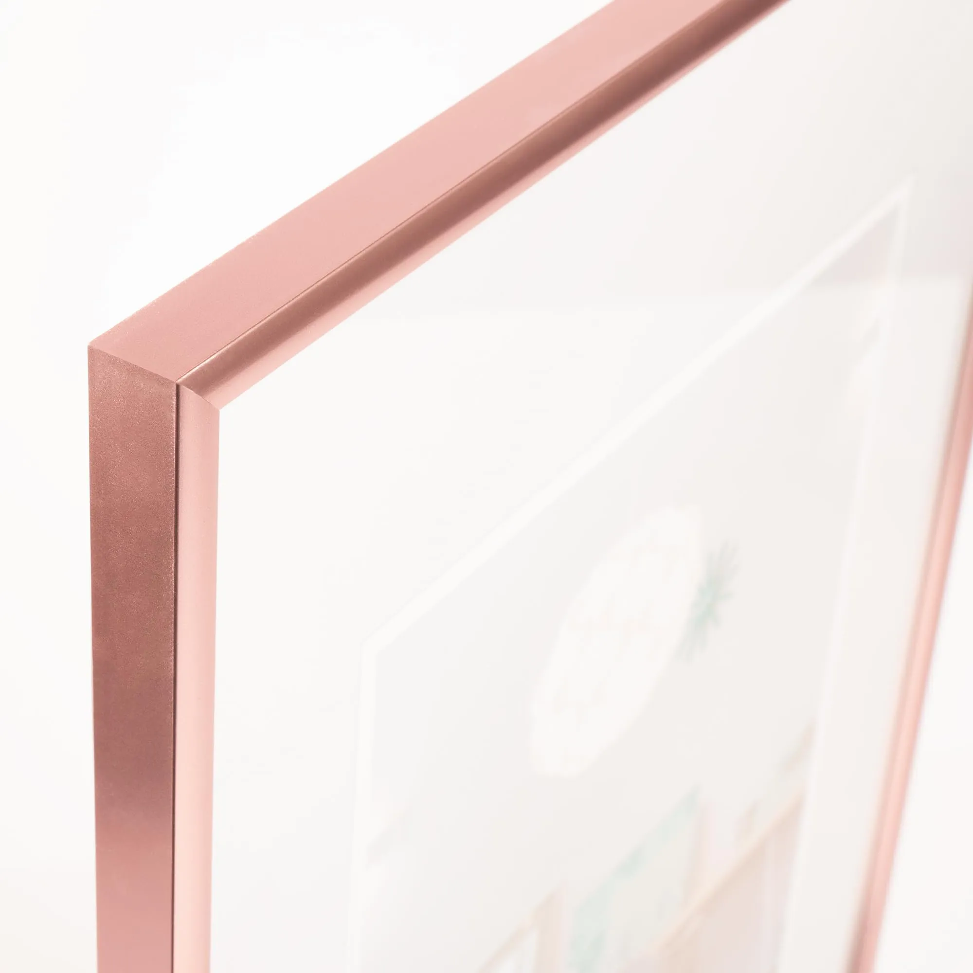 walther design New Lifestyle KV130Y Cornice Portafoto in Plastica, 21 x 29,7 cm DIN A4, Oro Rosa - immagine 4