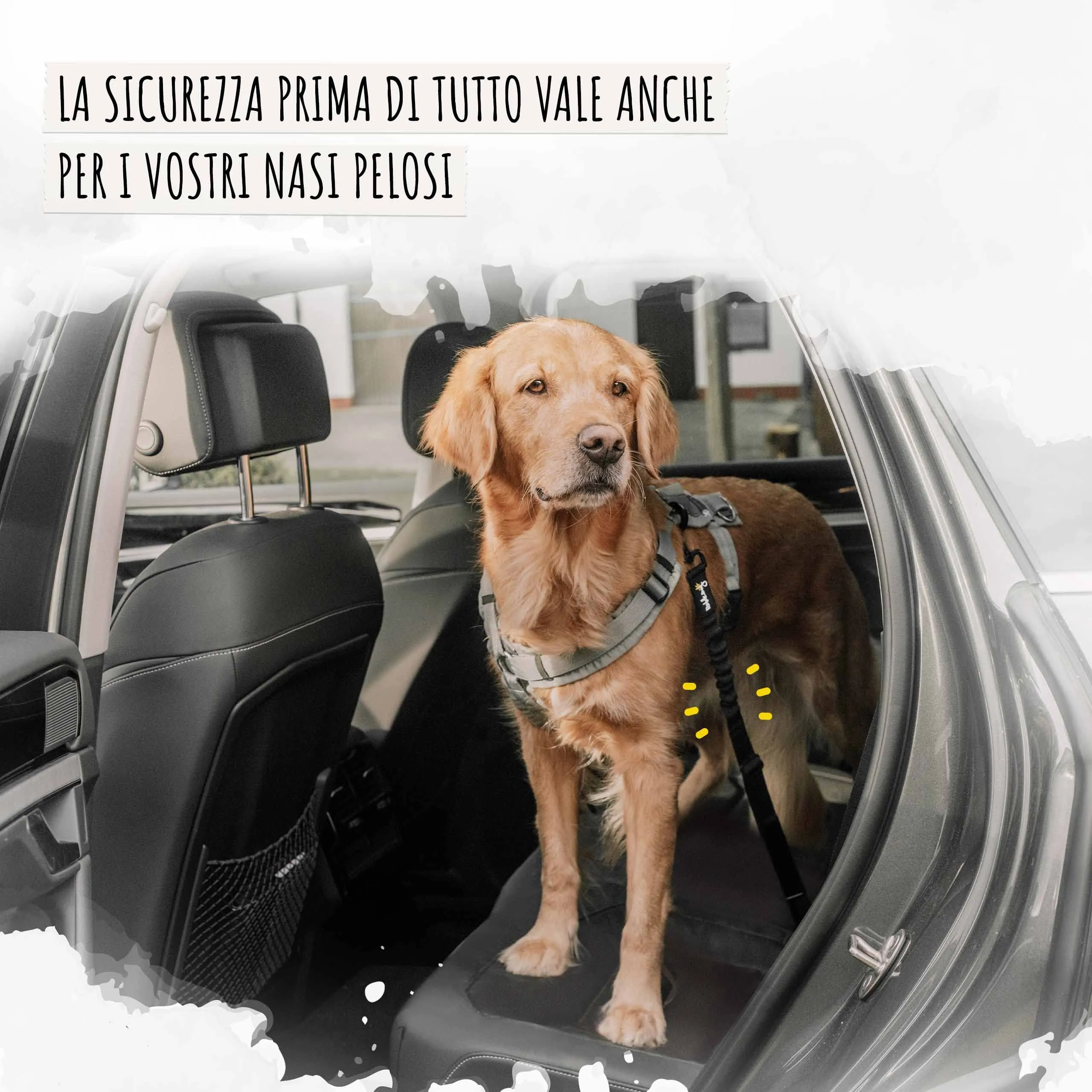 Rudelkönig Cintura di Sicurezza per Cani Auto, Elastica e Regolabile, Nero - immagine 3