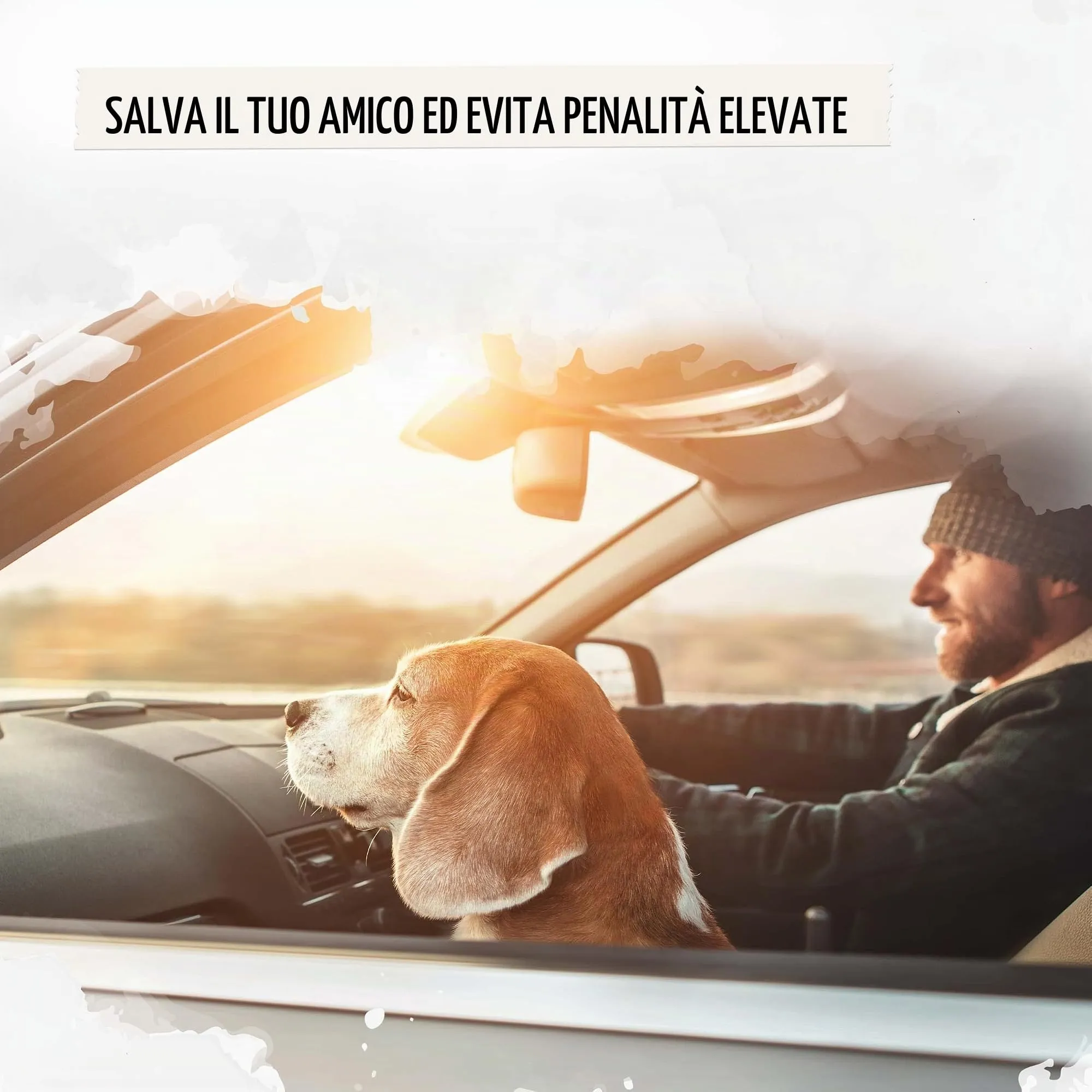 Rudelkönig Cintura di Sicurezza per Cani Auto, Elastica e Regolabile, Nero - immagine 6