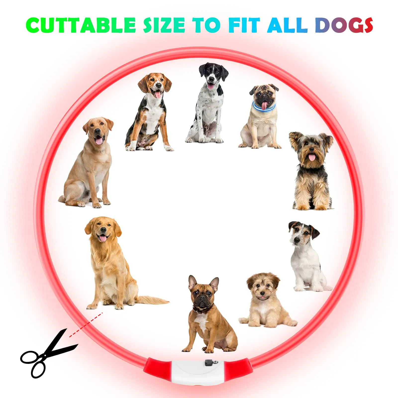 AUAUY Collare Luminoso LED per Cani, Ricaricabile USB, Regolabile, Rosso - immagine 2
