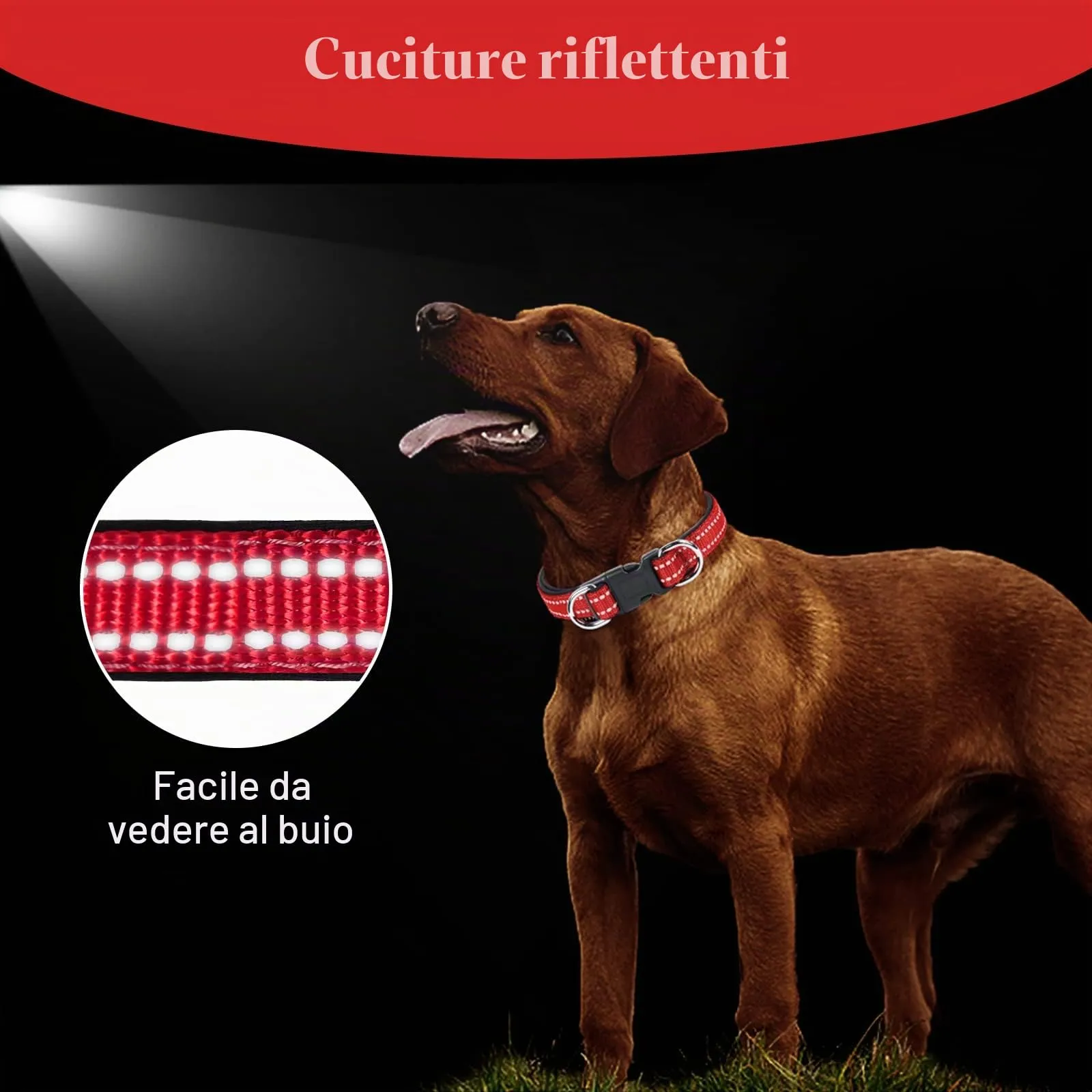 AUAUY Collare Cane in Nylon Riflettente con Doppia D, Rosso, Taglia S (29-45cm) - immagine 6