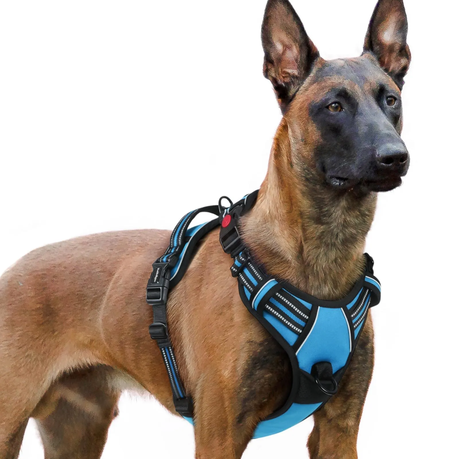rabbitgoo Pettorina Cane Antifuga ad H con Maniglia Rinforzata e Bande Riflettenti, Azzurro, XL - immagine 1