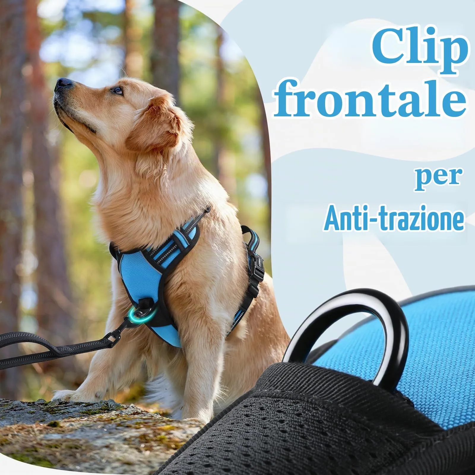 rabbitgoo Pettorina Cane Antifuga ad H con Maniglia Rinforzata e Bande Riflettenti, Azzurro, XL - immagine 7