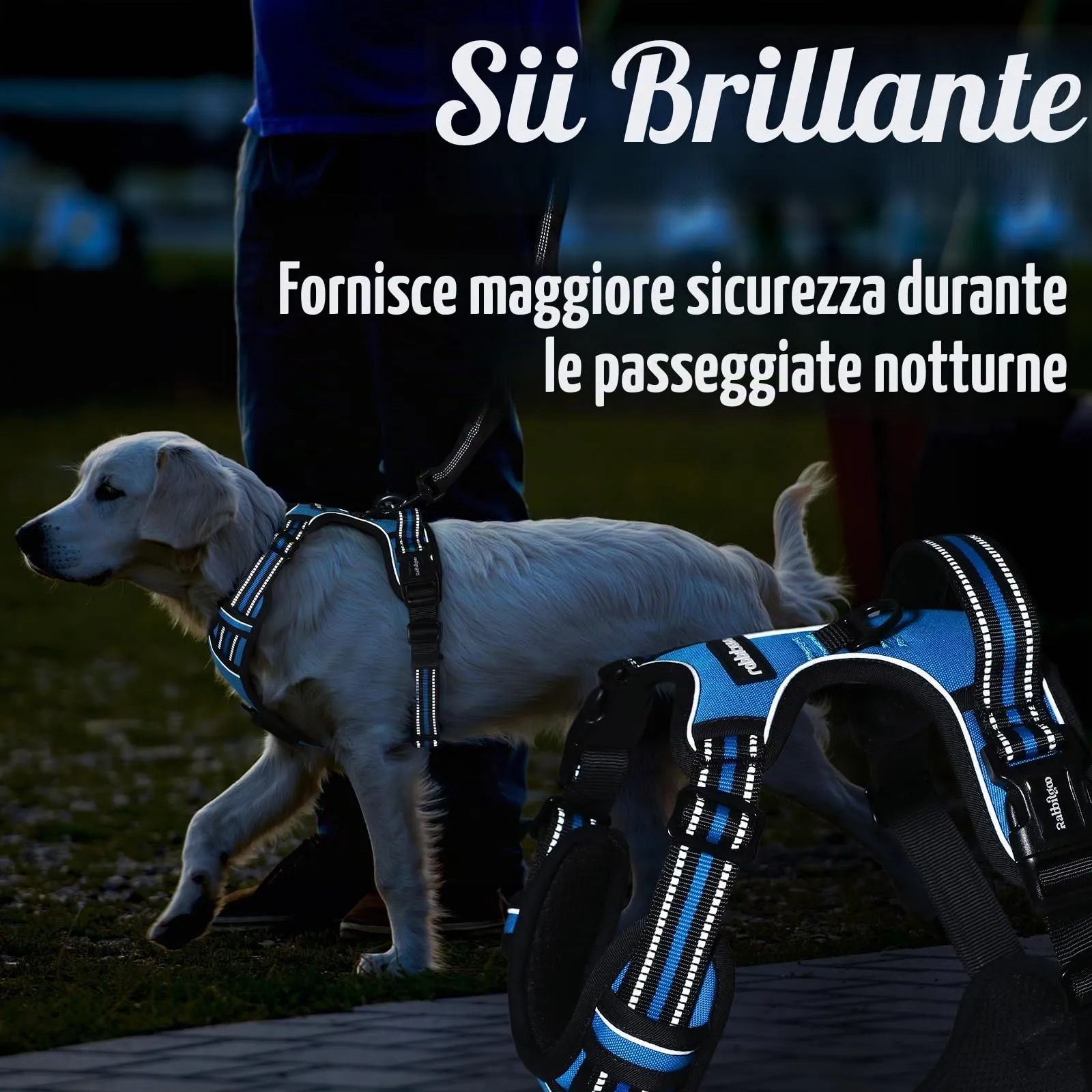 rabbitgoo Pettorina Cane Antifuga ad H con Maniglia Rinforzata e Bande Riflettenti, Azzurro, XL - immagine 9